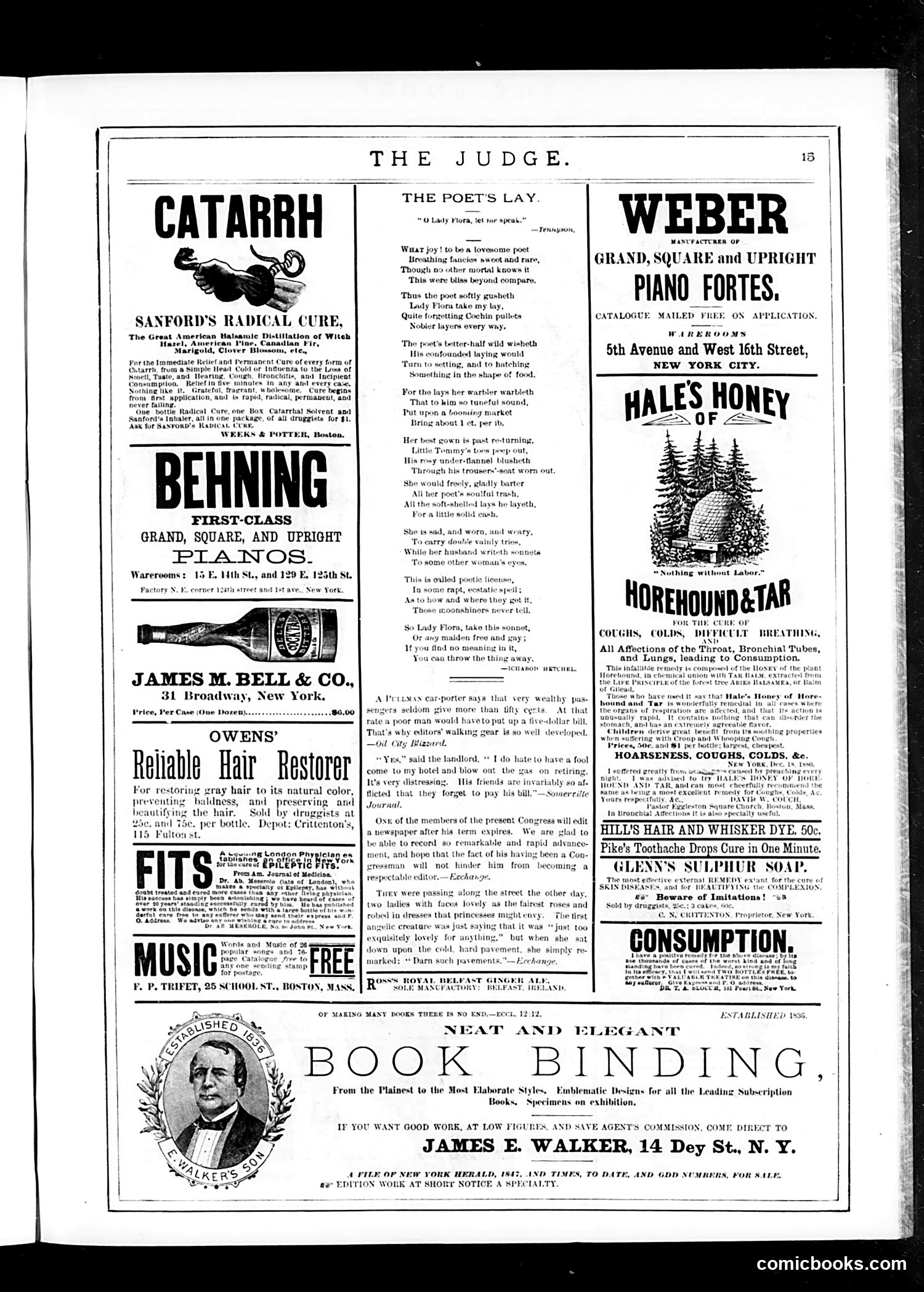 Judge — January 20, 1883 — page 15 of 16