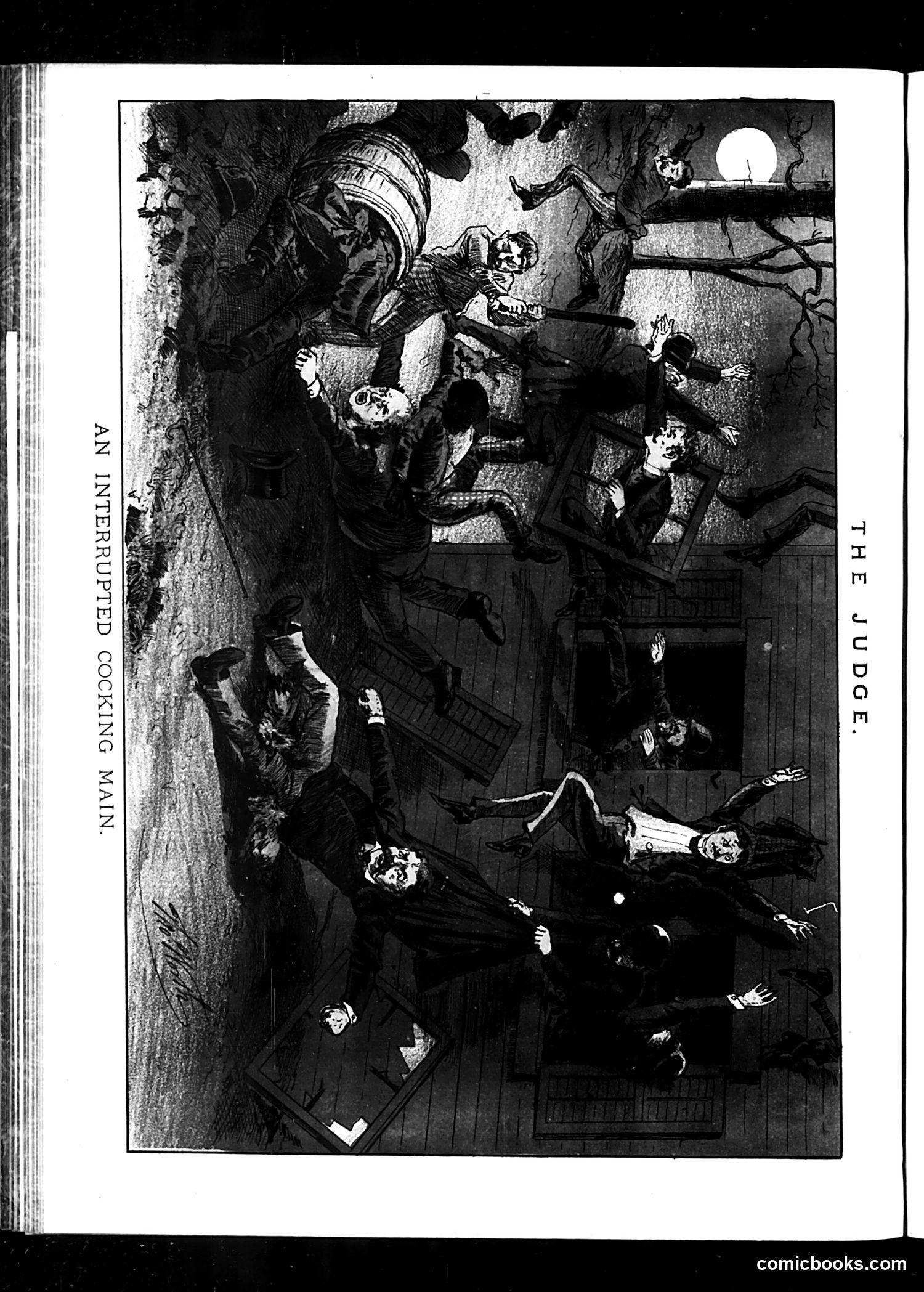 Judge — February 3, 1883 — page 16 of 16