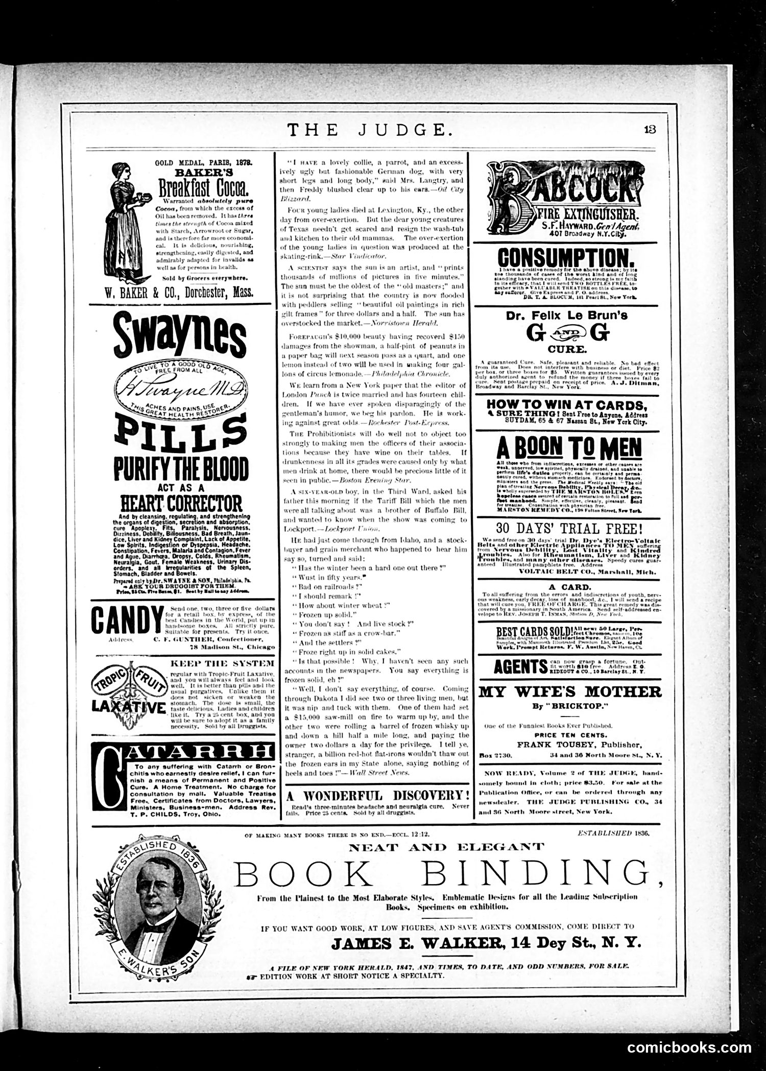 Judge — March 24, 1883 — page 13 of 16