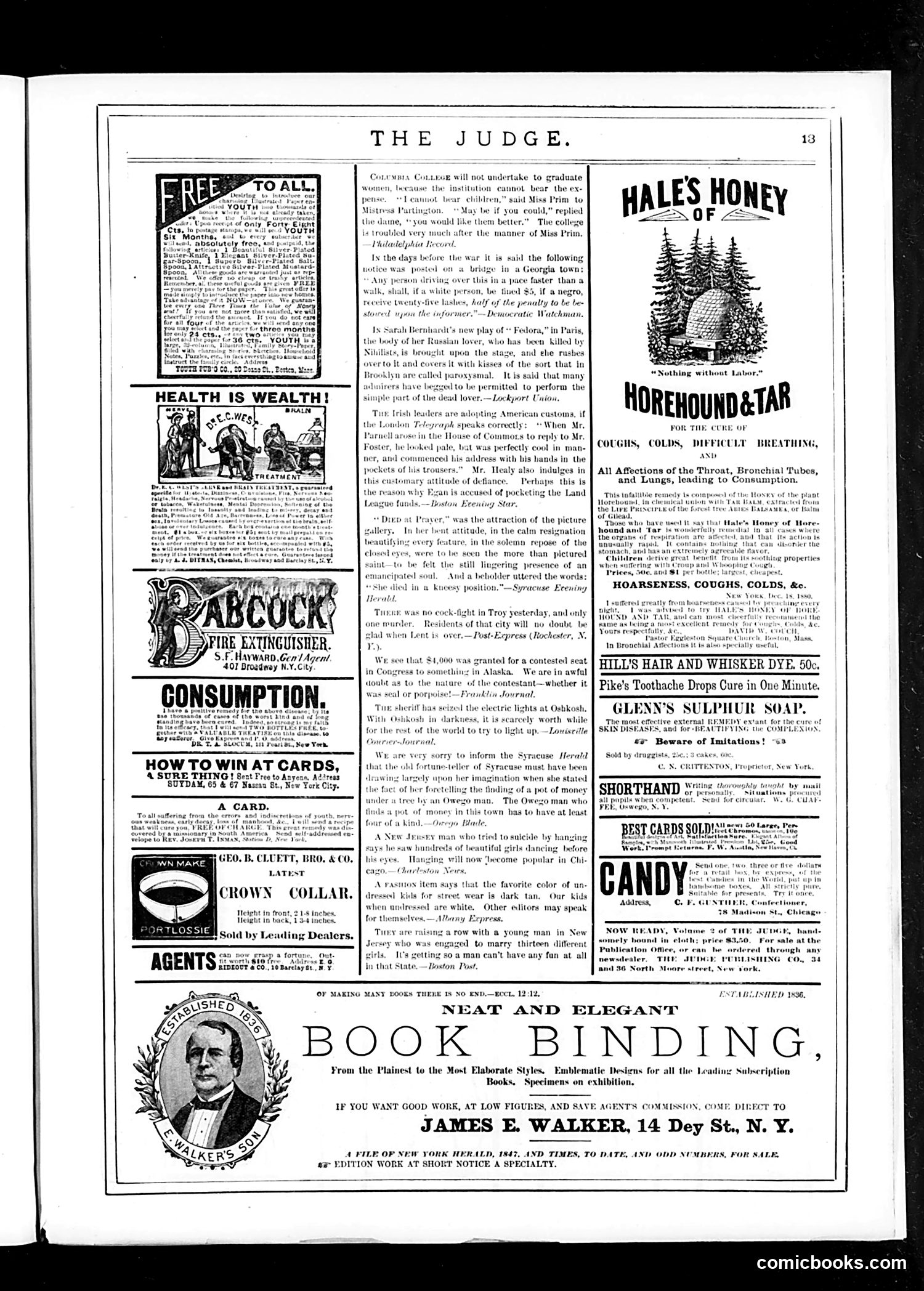Judge — March 31, 1883 — page 13 of 16