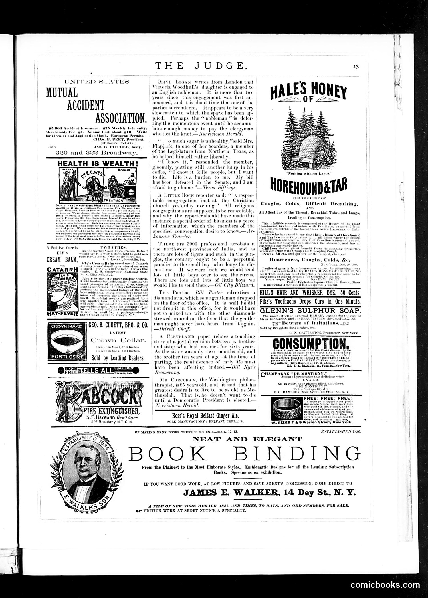 Judge — April 14, 1883 — page 13 of 16