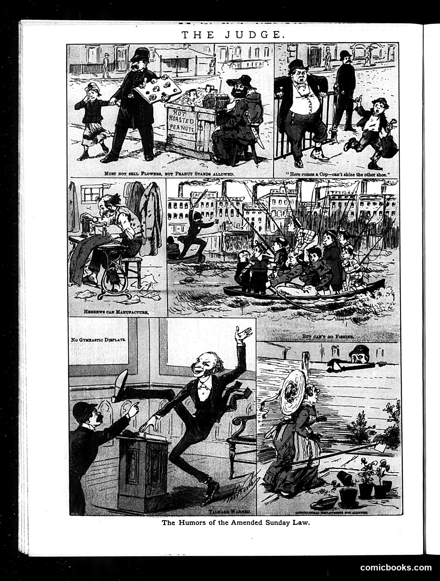 Judge — May 5, 1883 — page 16 of 16