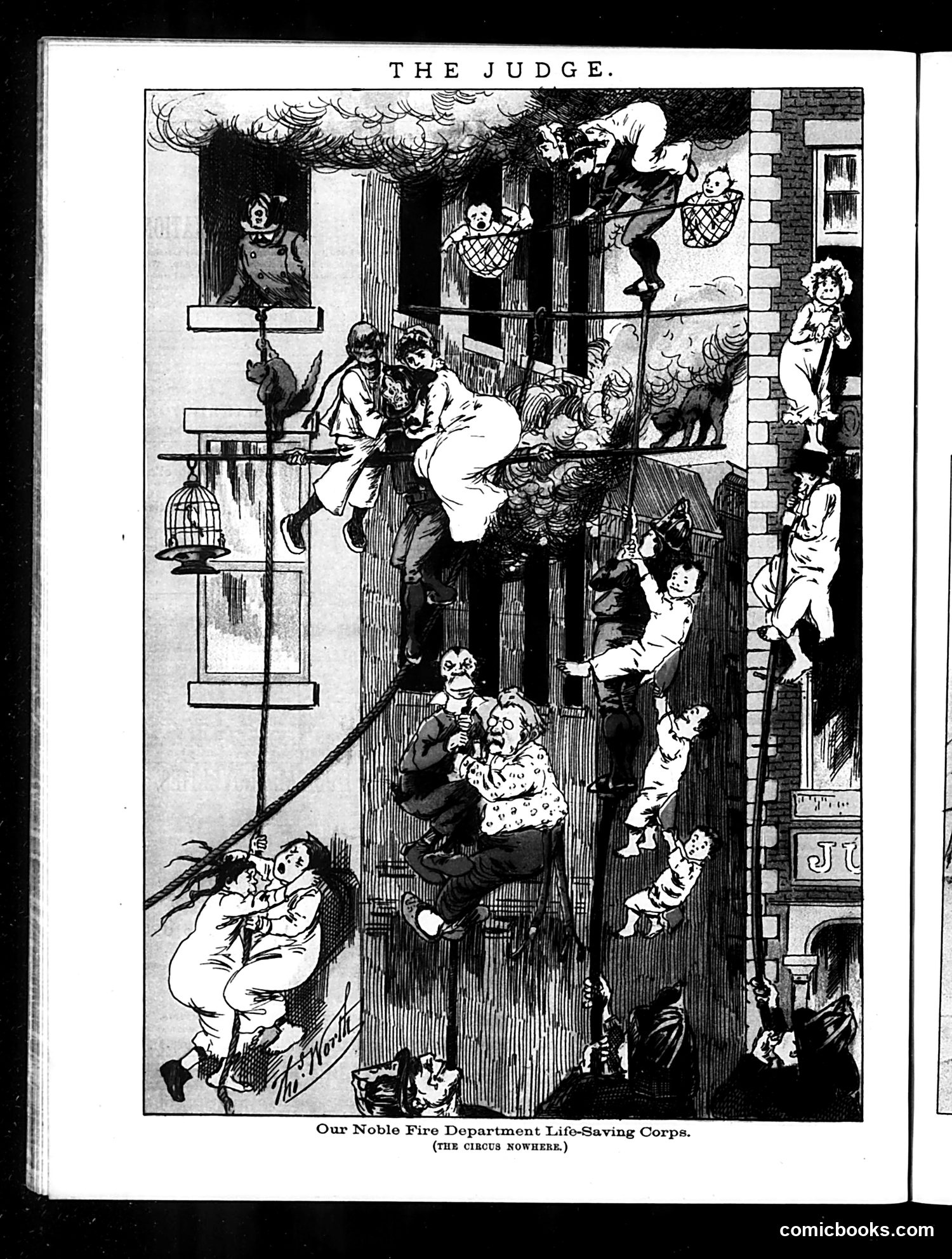 Judge — May 12, 1883 — page 16 of 16