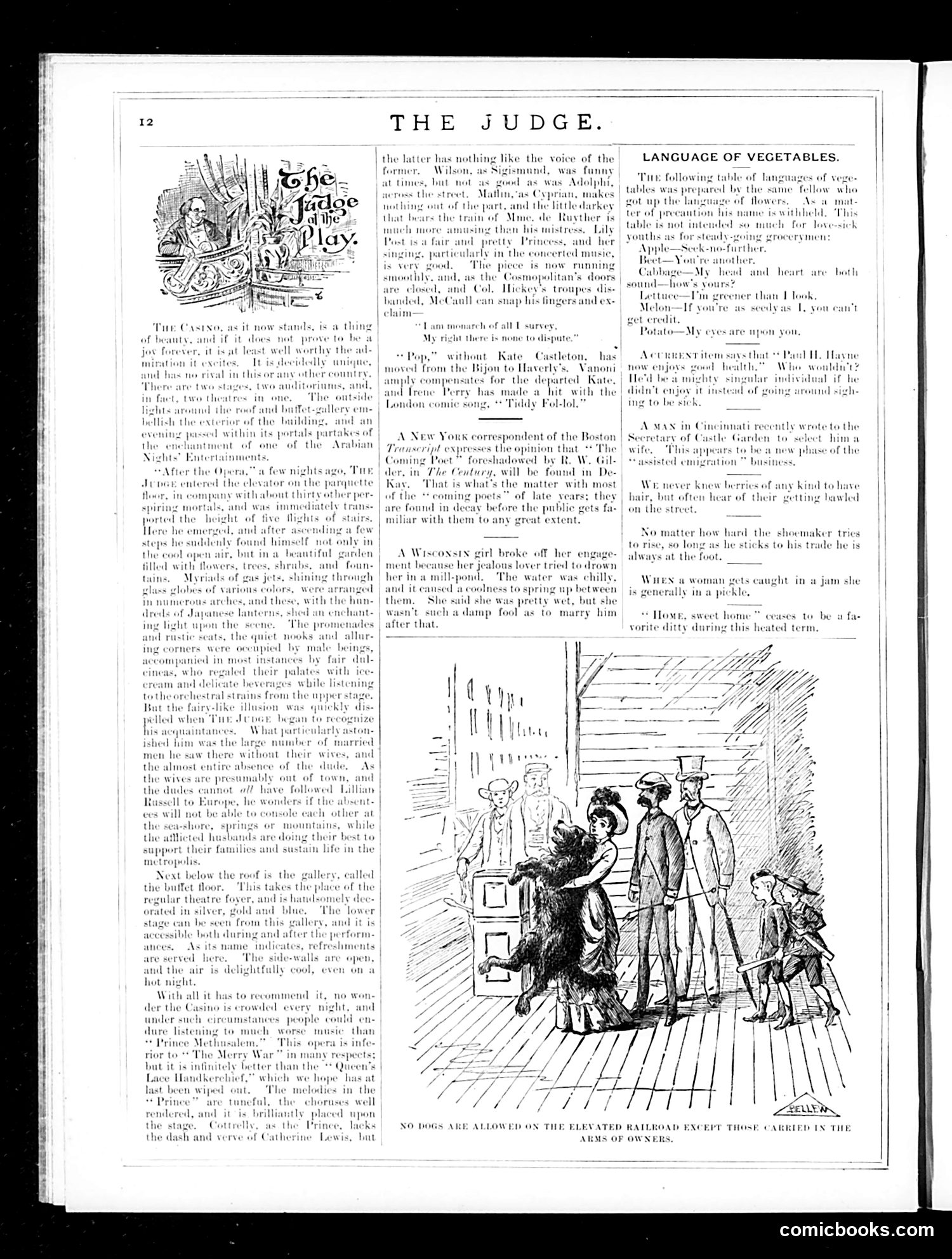 Judge — July 28, 1883 — page 12 of 16