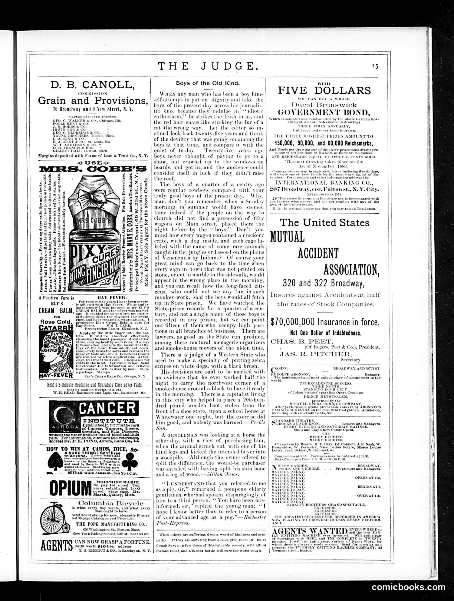Judge — October 13, 1883 — page 15 of 16