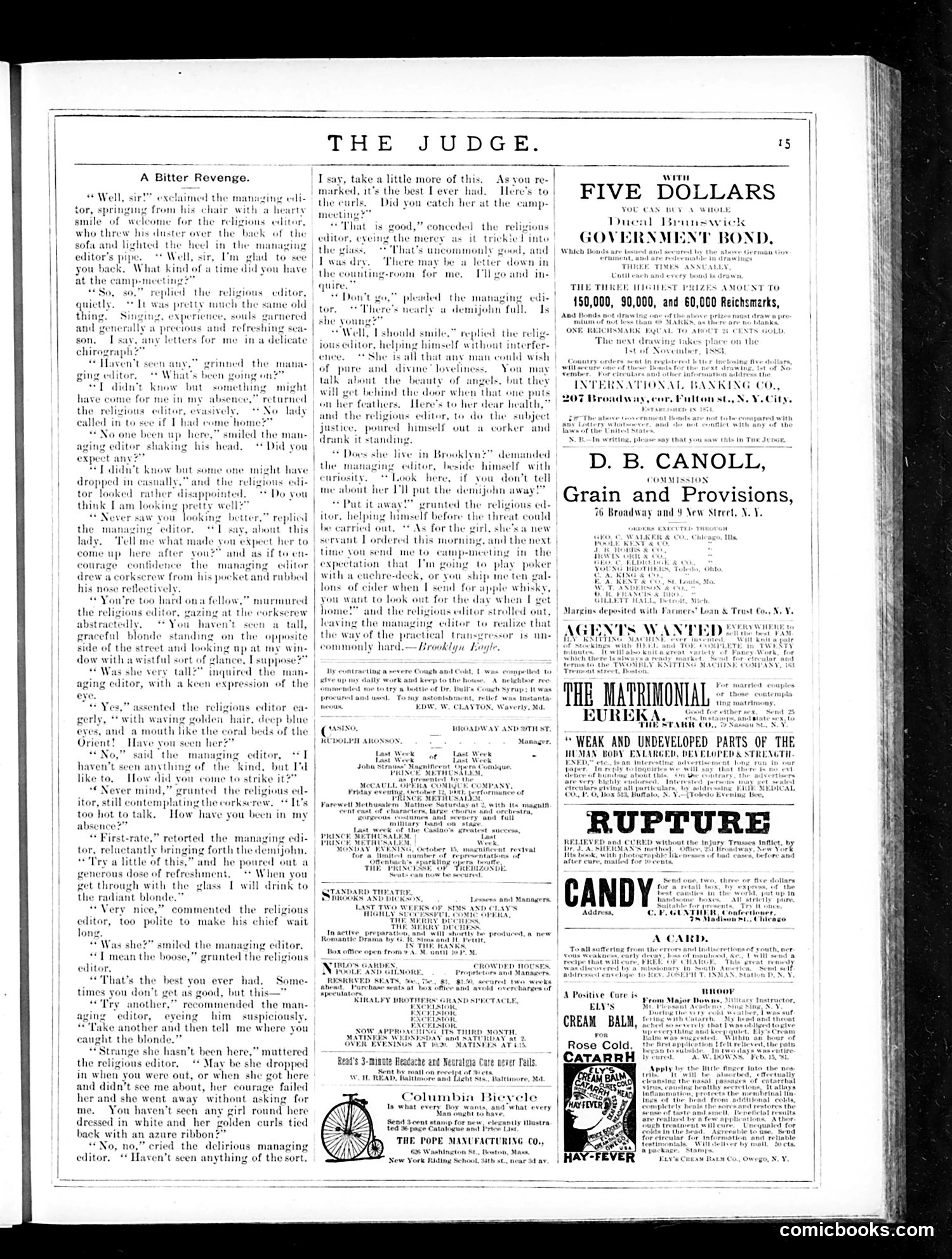 Judge — October 27, 1883 — page 15 of 16