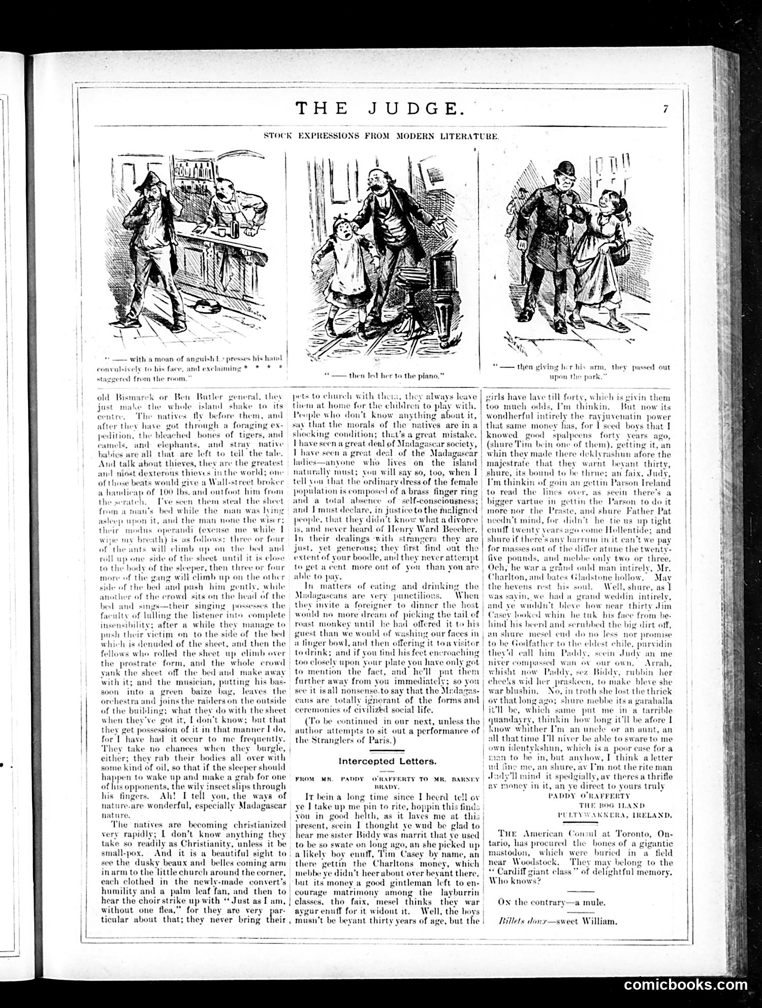Judge — November 24, 1883 — page 7 of 16
