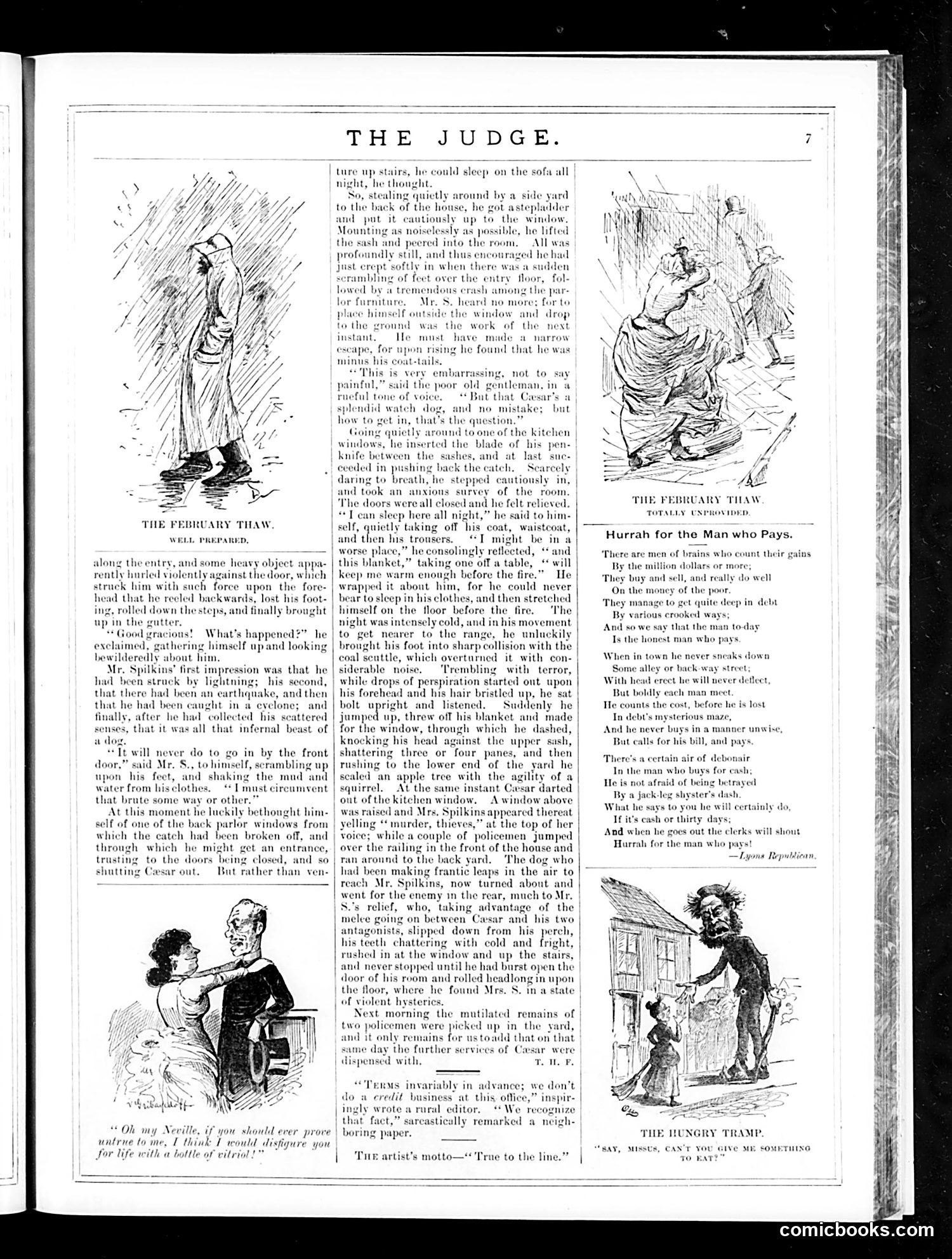 Judge — February 23, 1884 — page 7 of 16