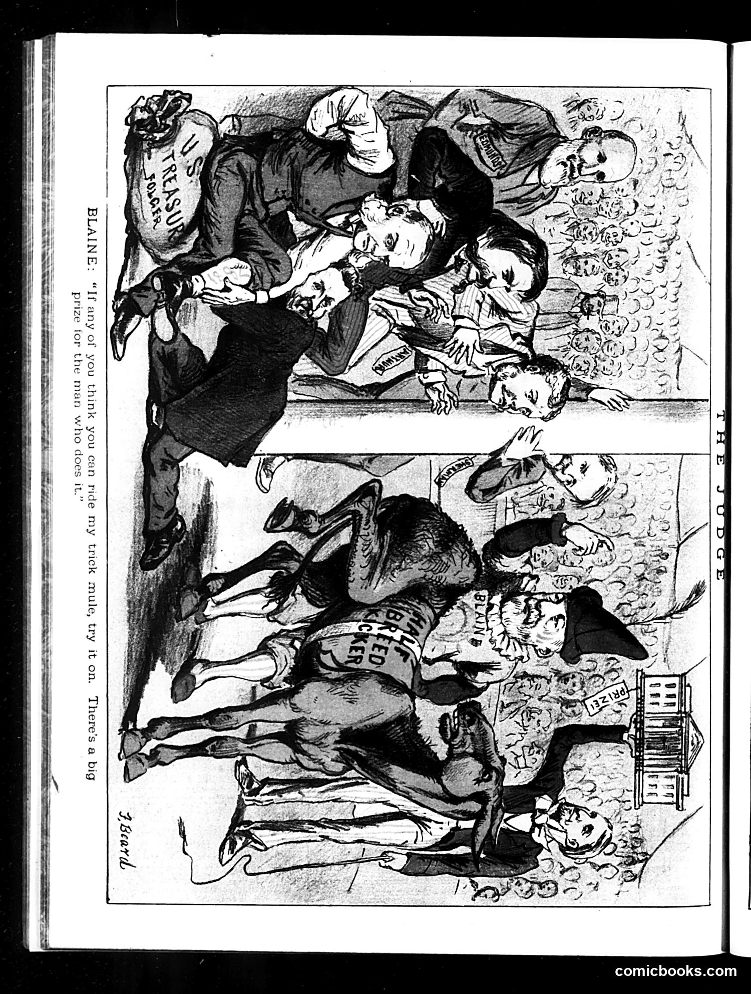 Judge — March 8, 1884 — page 16 of 16
