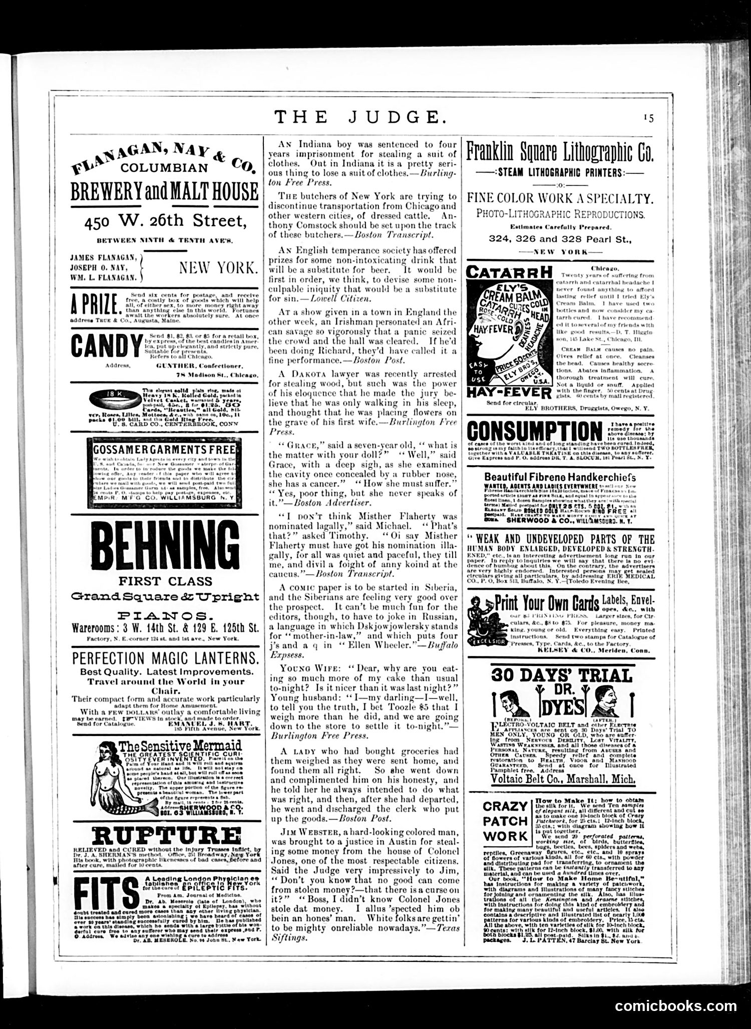 Judge — April 19, 1884 — page 15 of 16