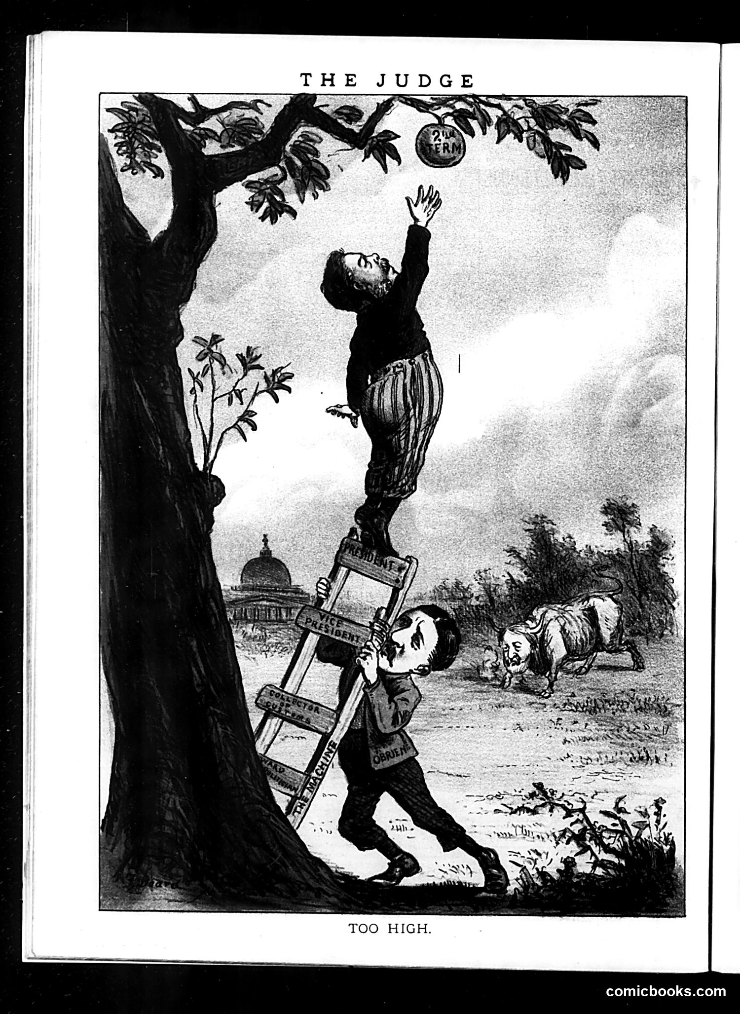 Judge — April 19, 1884 — page 16 of 16