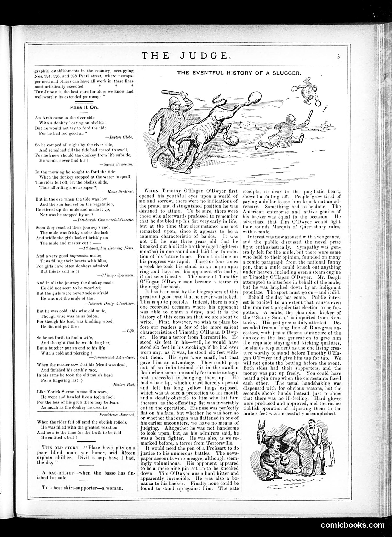 Judge — May 3, 1884 — page 3 of 16