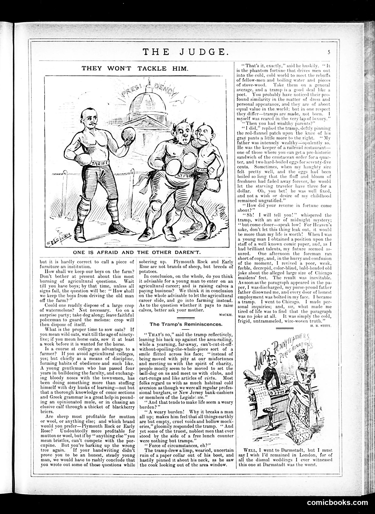 Judge — May 24, 1884 — page 5 of 16