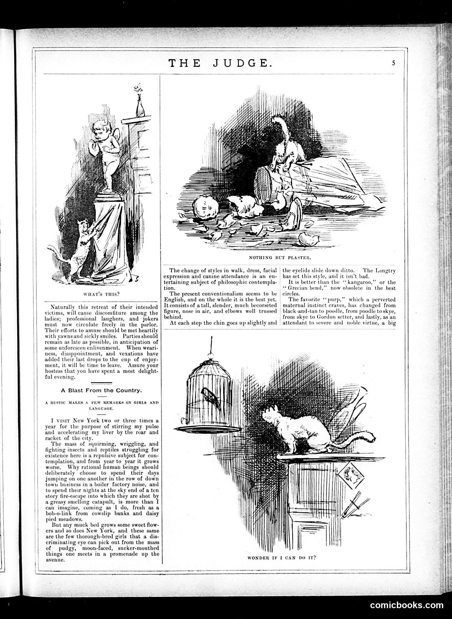 Judge — May 31, 1884 — page 5 of 16