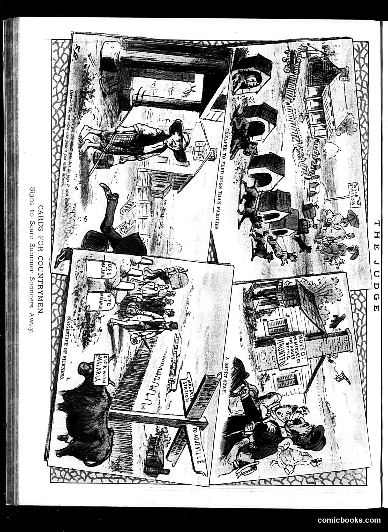 Judge — June 7, 1884 — page 16 of 16
