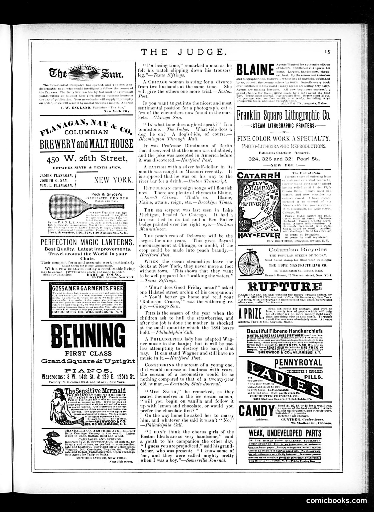 Judge — July 5, 1884 — page 15 of 16