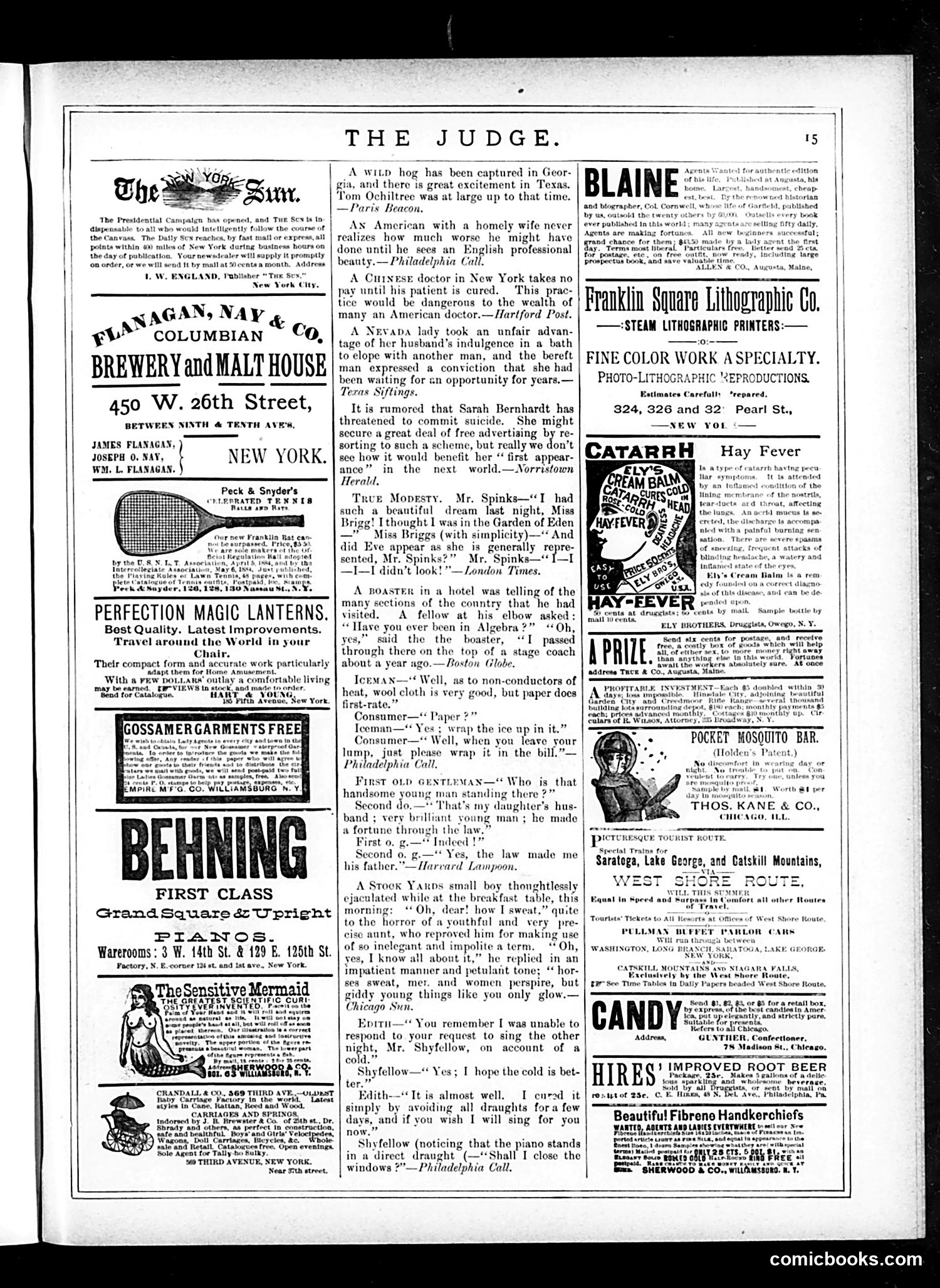 Judge — July 19, 1884 — page 15 of 16