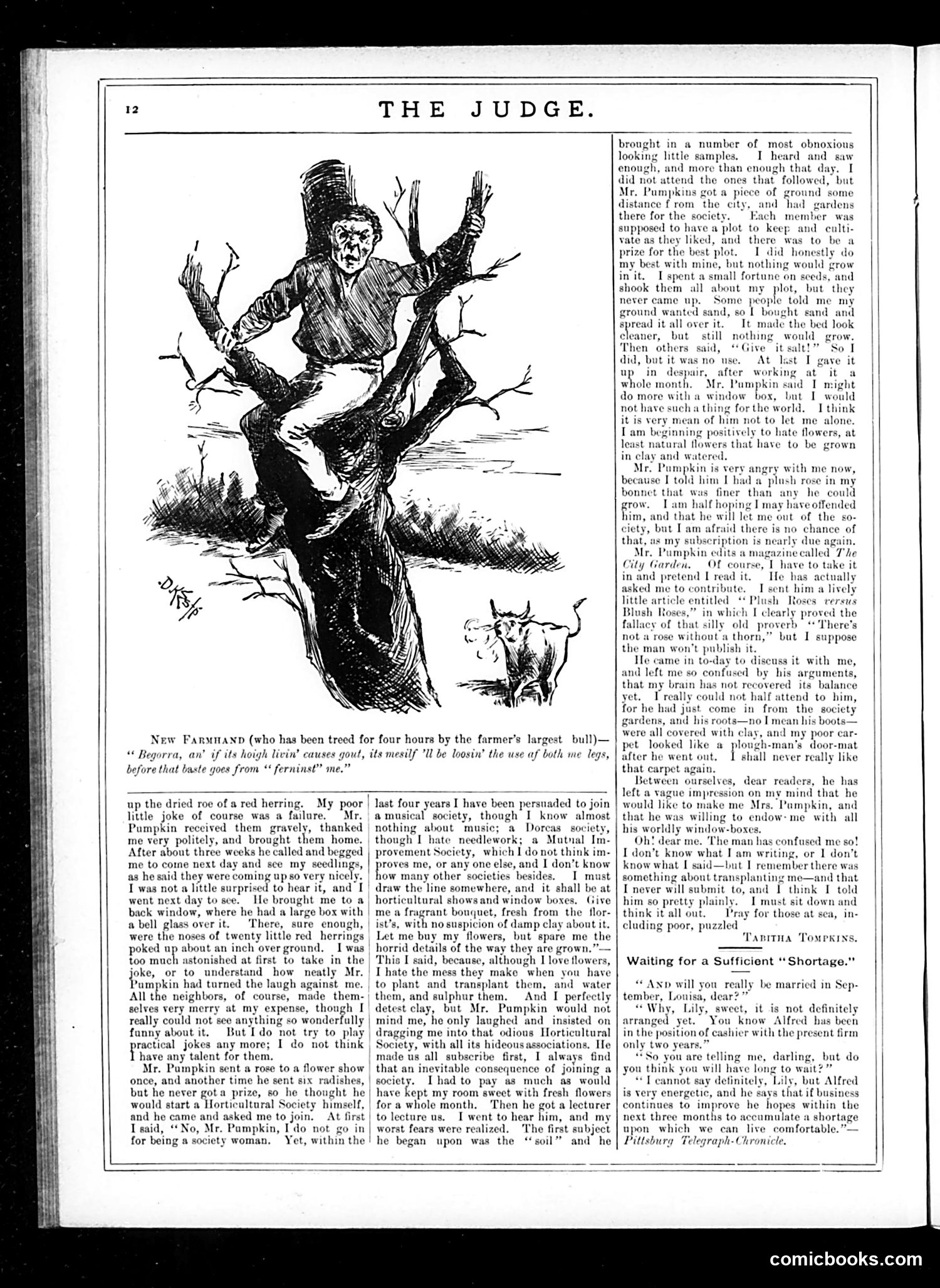 Judge — October 11, 1884 — page 12 of 17