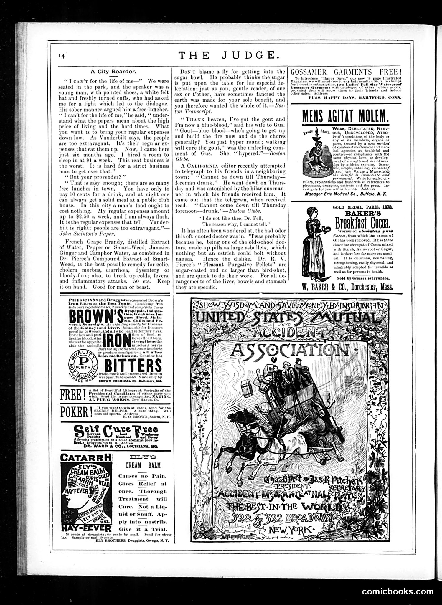Judge — October 11, 1884 — page 14 of 17