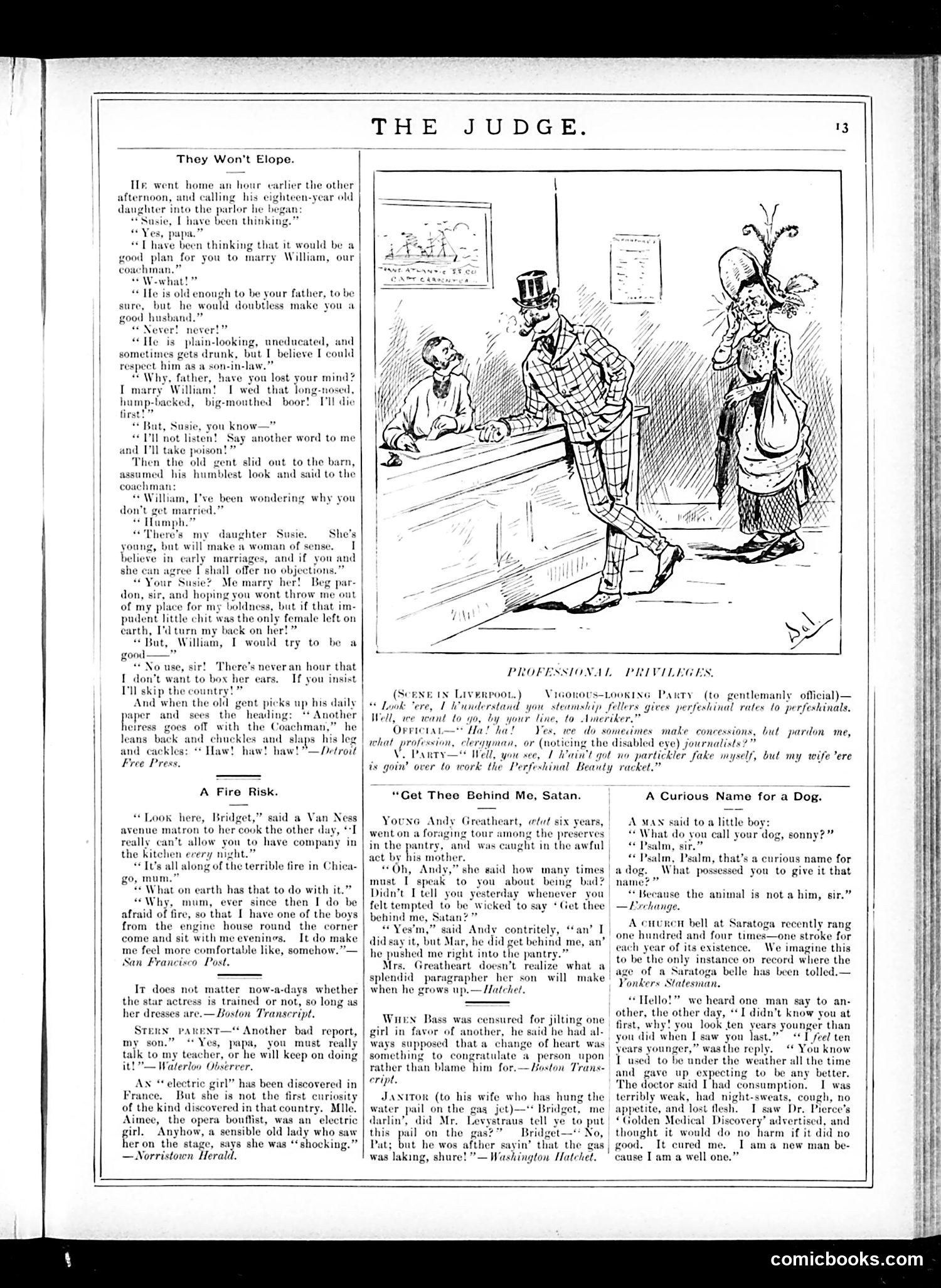 Judge — November 15, 1884 — page 13 of 16