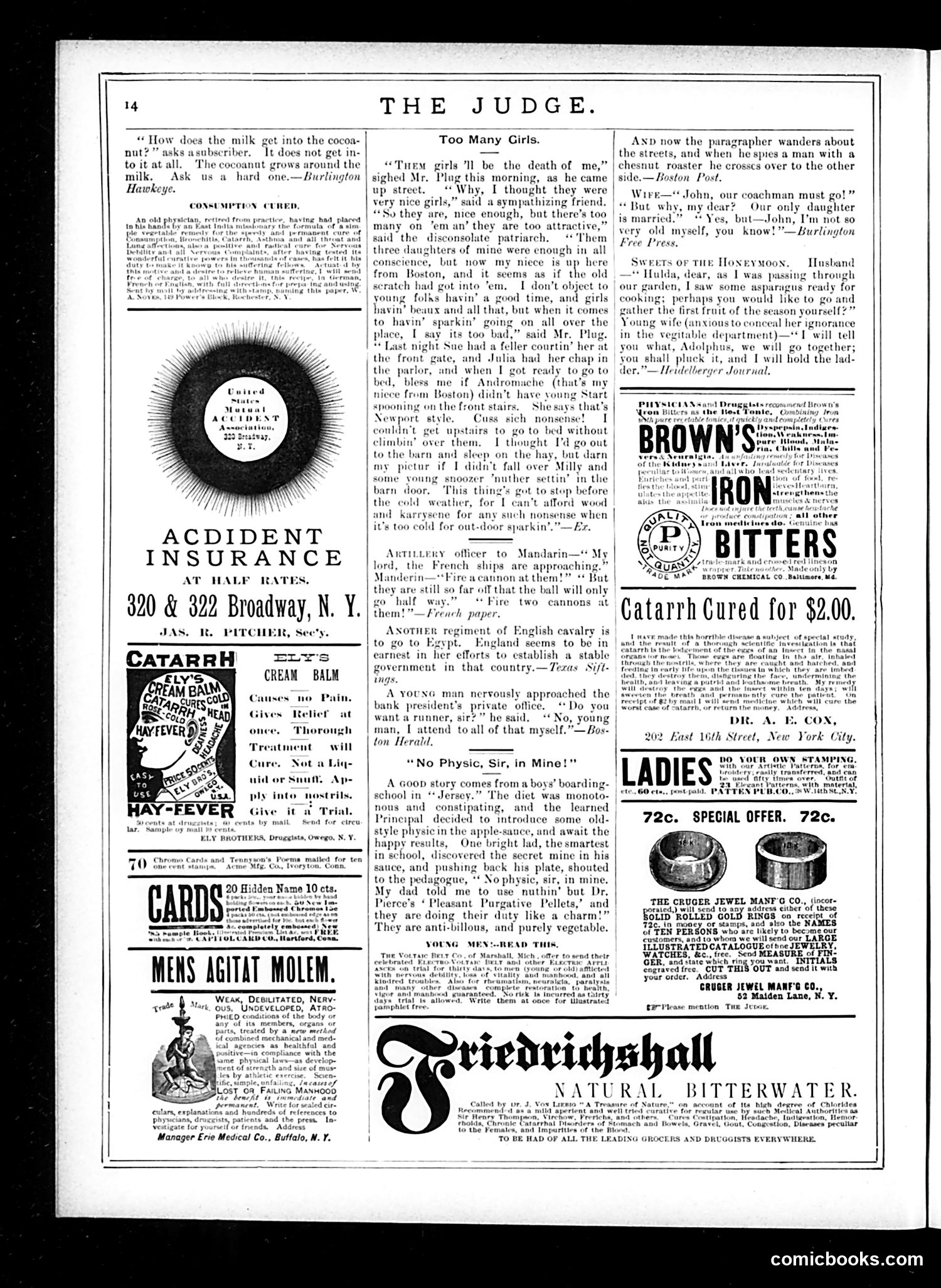 Judge — November 15, 1884 — page 14 of 16