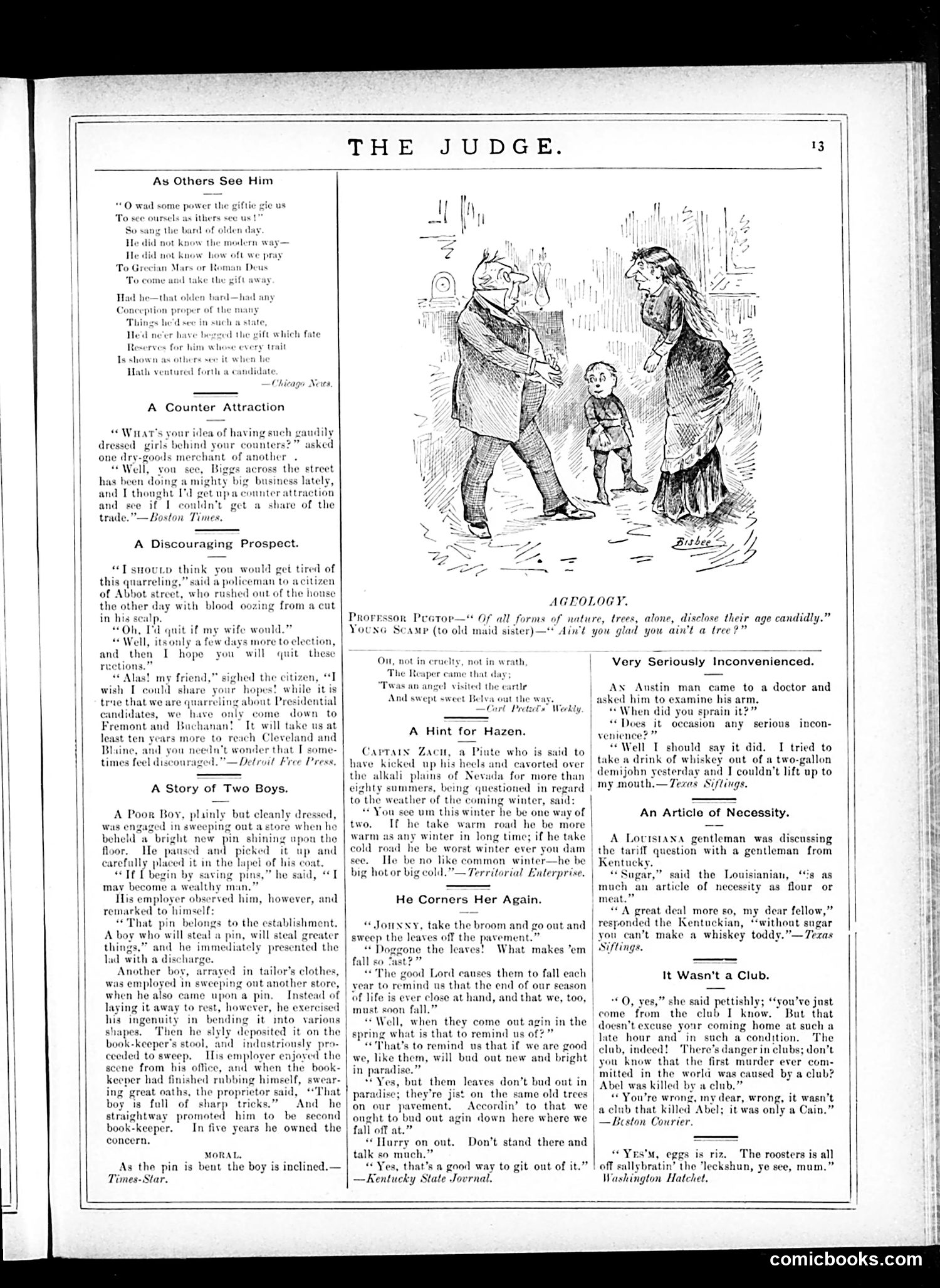 Judge — December 13, 1884 — page 13 of 16