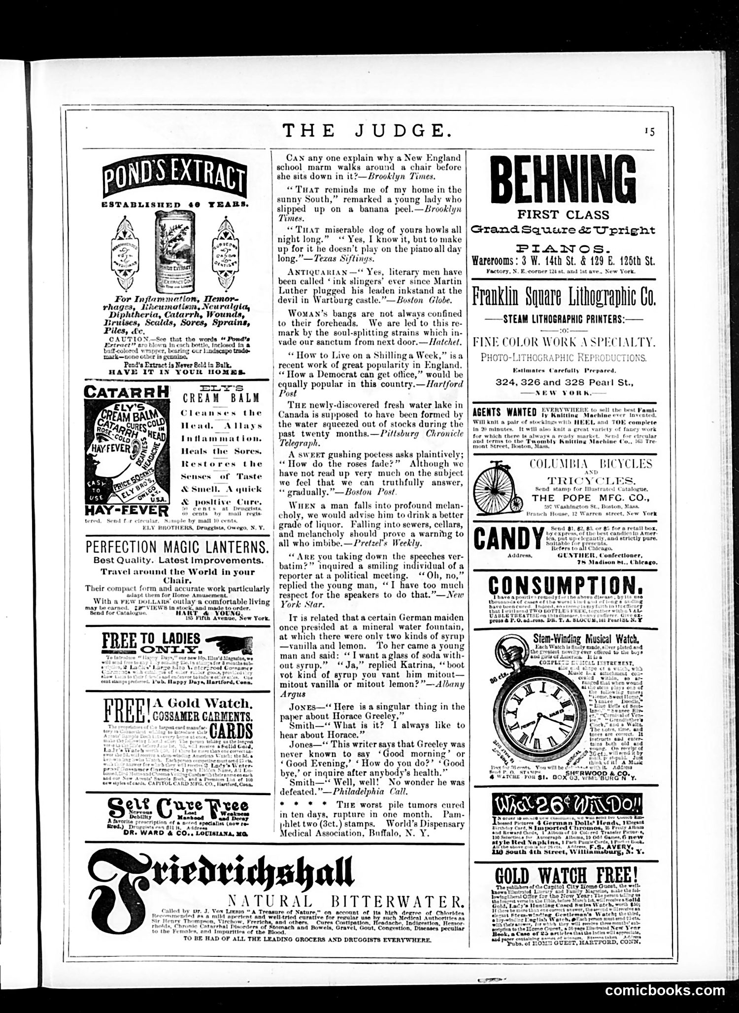 Judge — December 27, 1884 — page 15 of 16