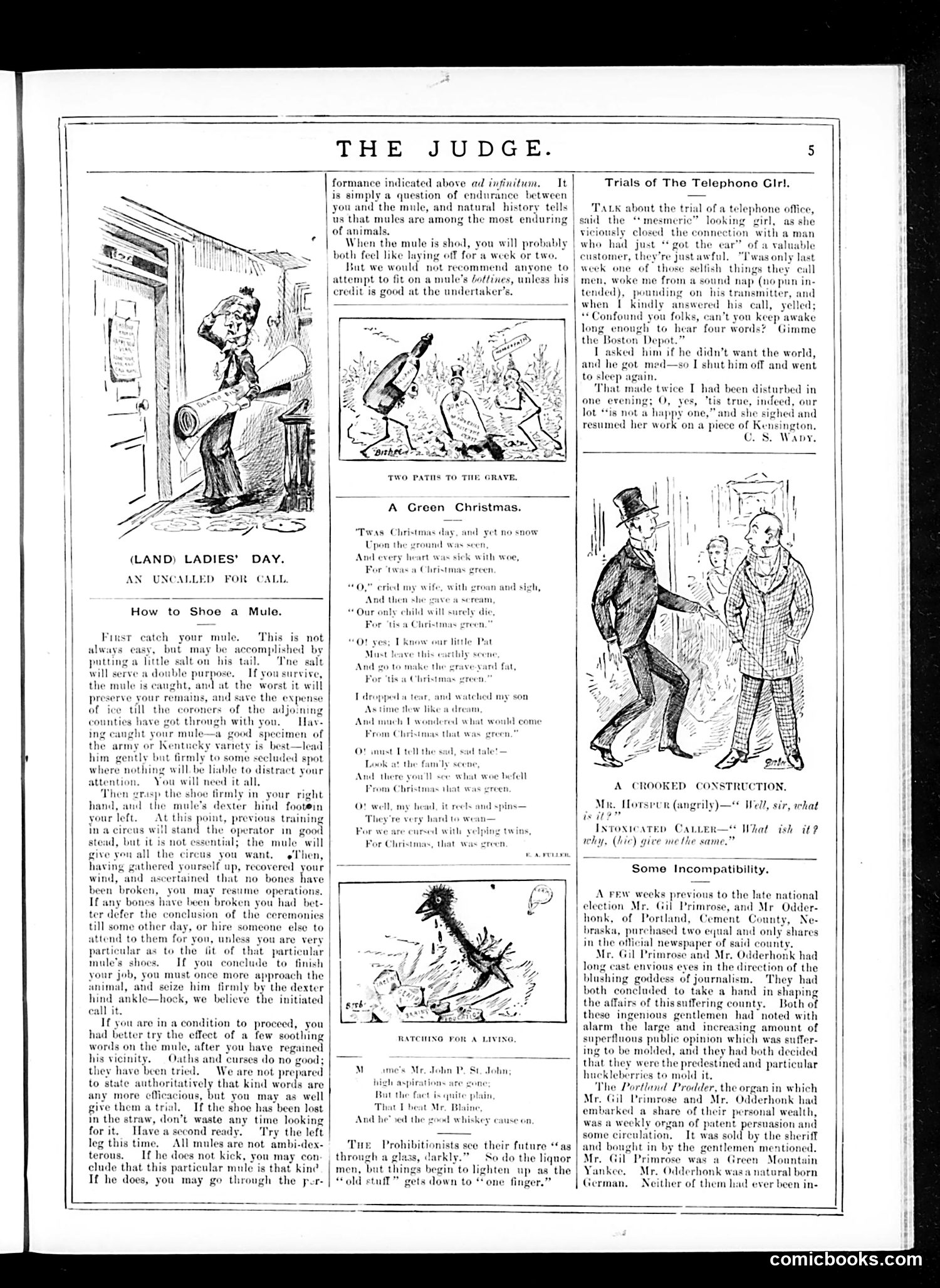 Judge — January 3, 1885 — page 5 of 16