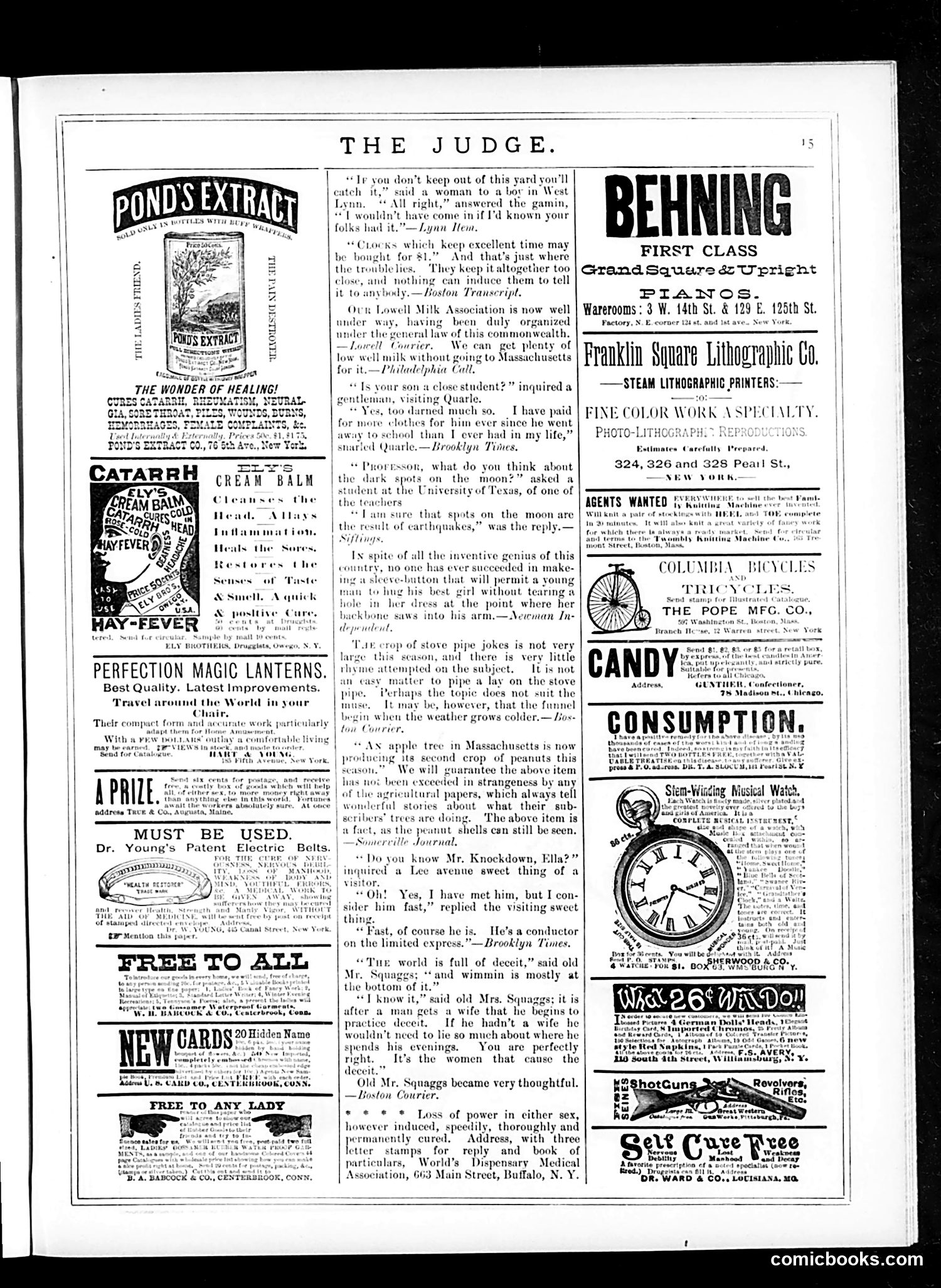Judge — January 3, 1885 — page 15 of 16