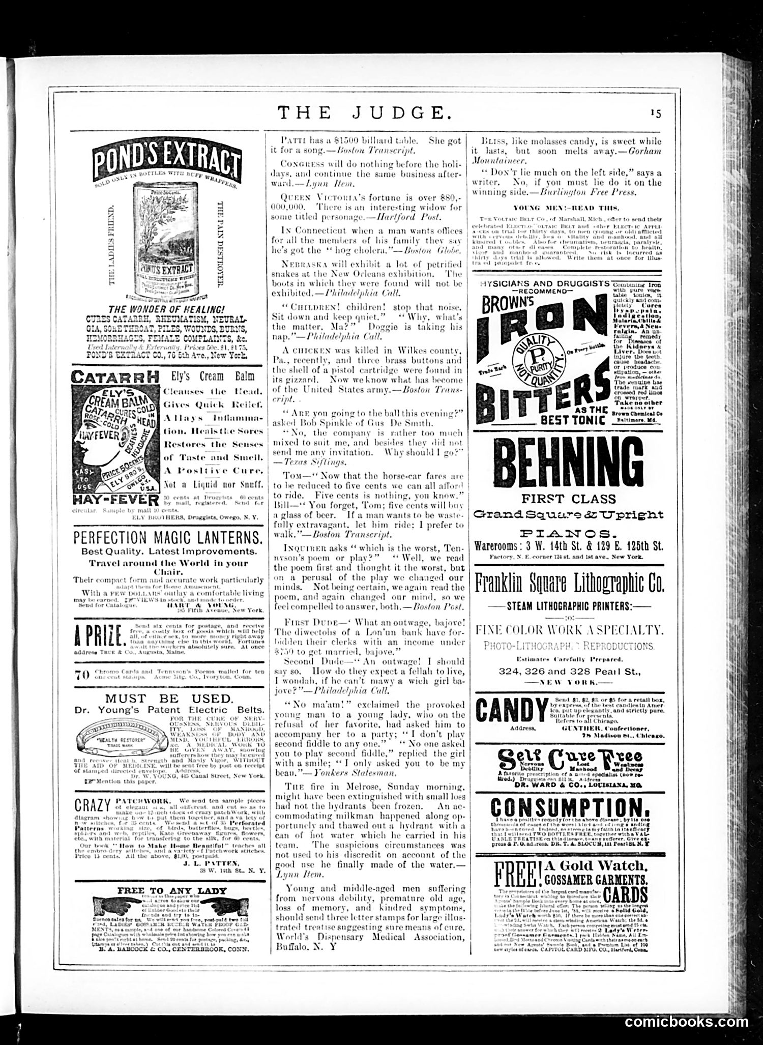 Judge — January 17, 1885 — page 15 of 16