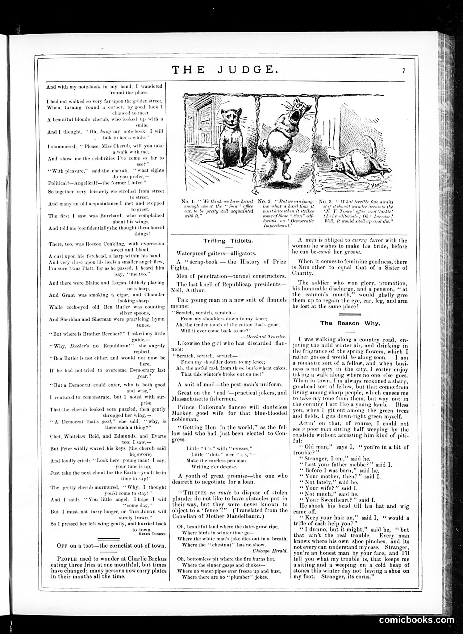 Judge — January 24, 1885 — page 7 of 16