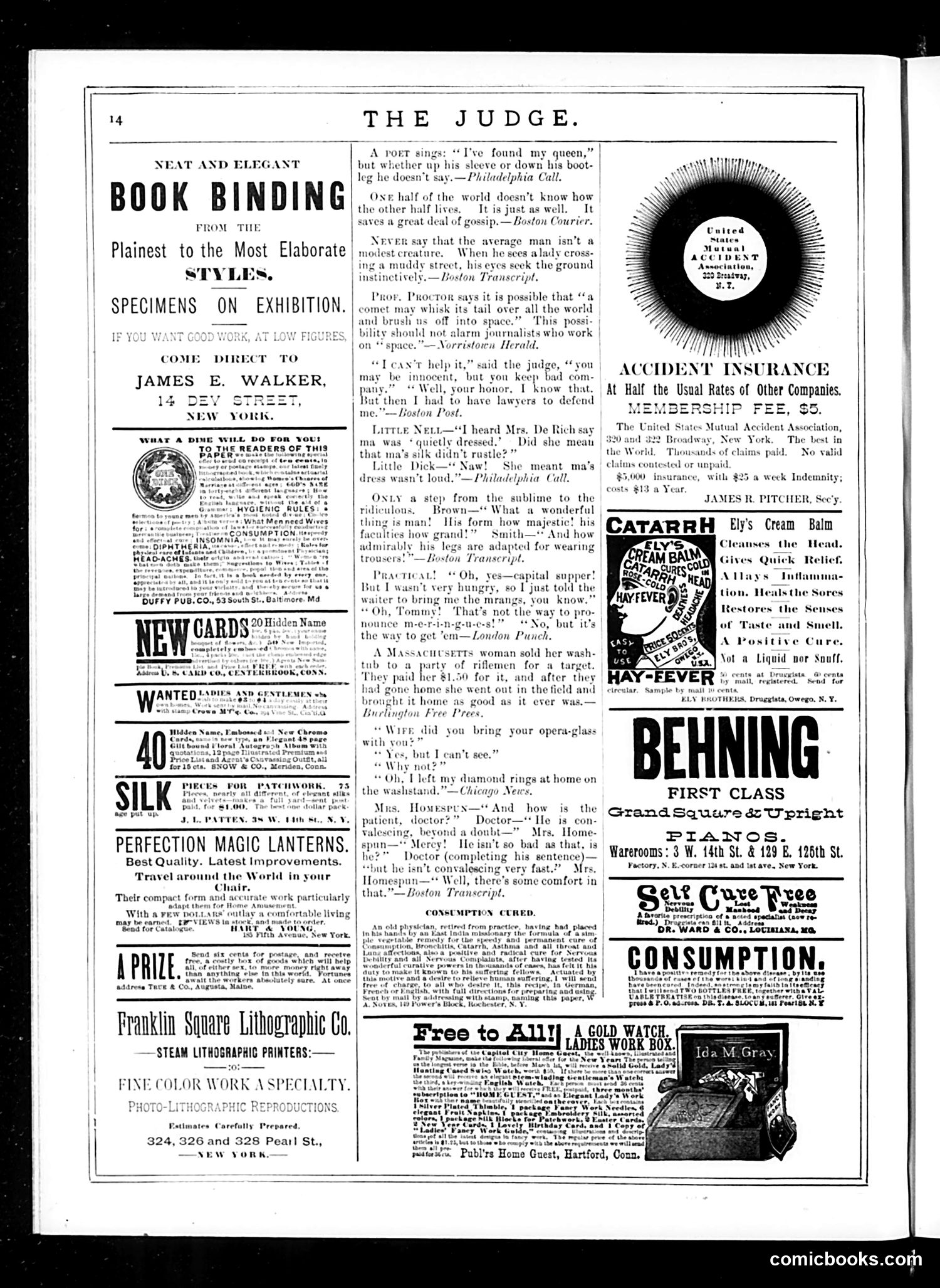 Judge — January 24, 1885 — page 14 of 16