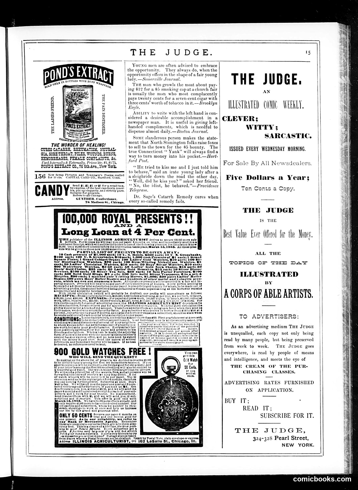 Judge — January 24, 1885 — page 15 of 16