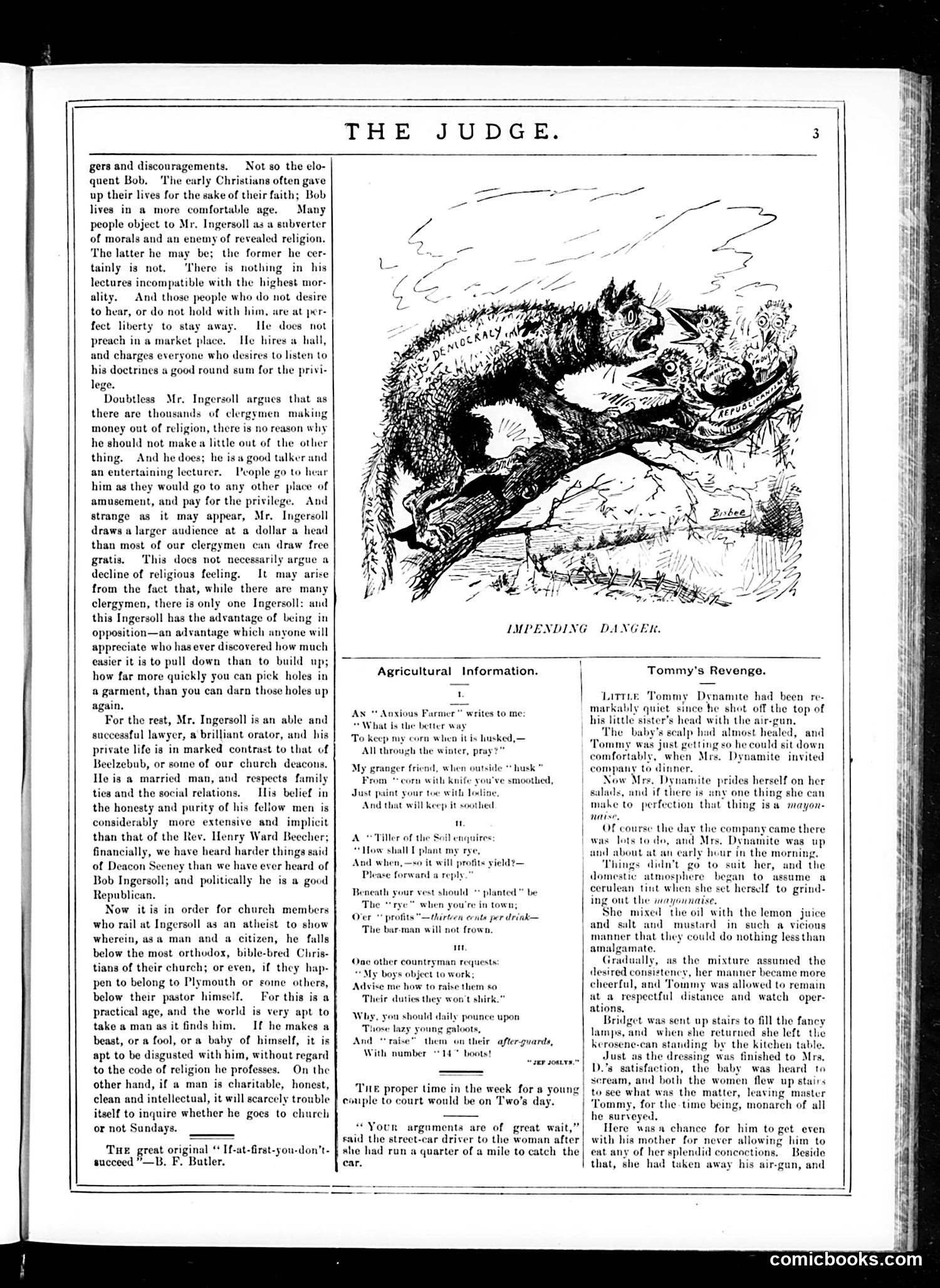 Judge — January 31, 1885 — page 3 of 16