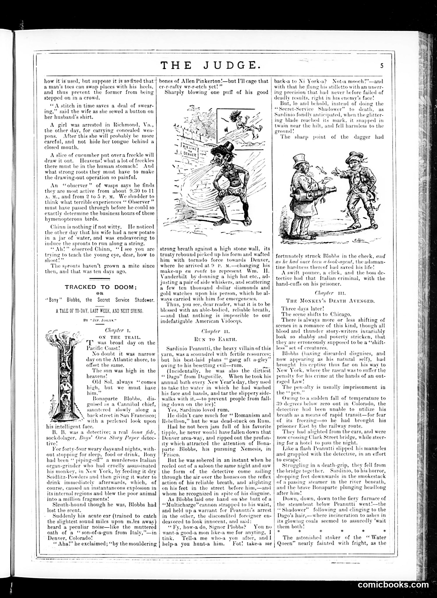 Judge — January 31, 1885 — page 5 of 16