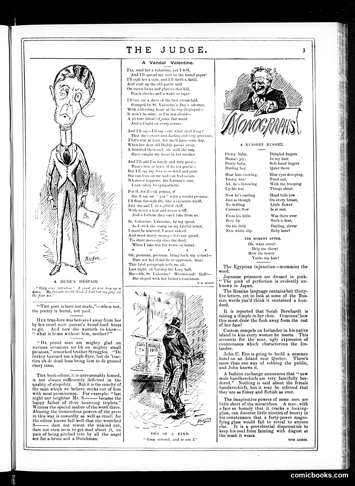 Judge — February 14, 1885 — page 3 of 16