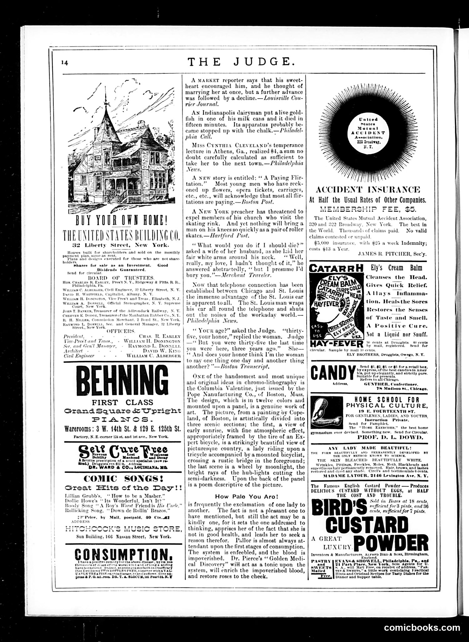 Judge — February 28, 1885 — page 14 of 16