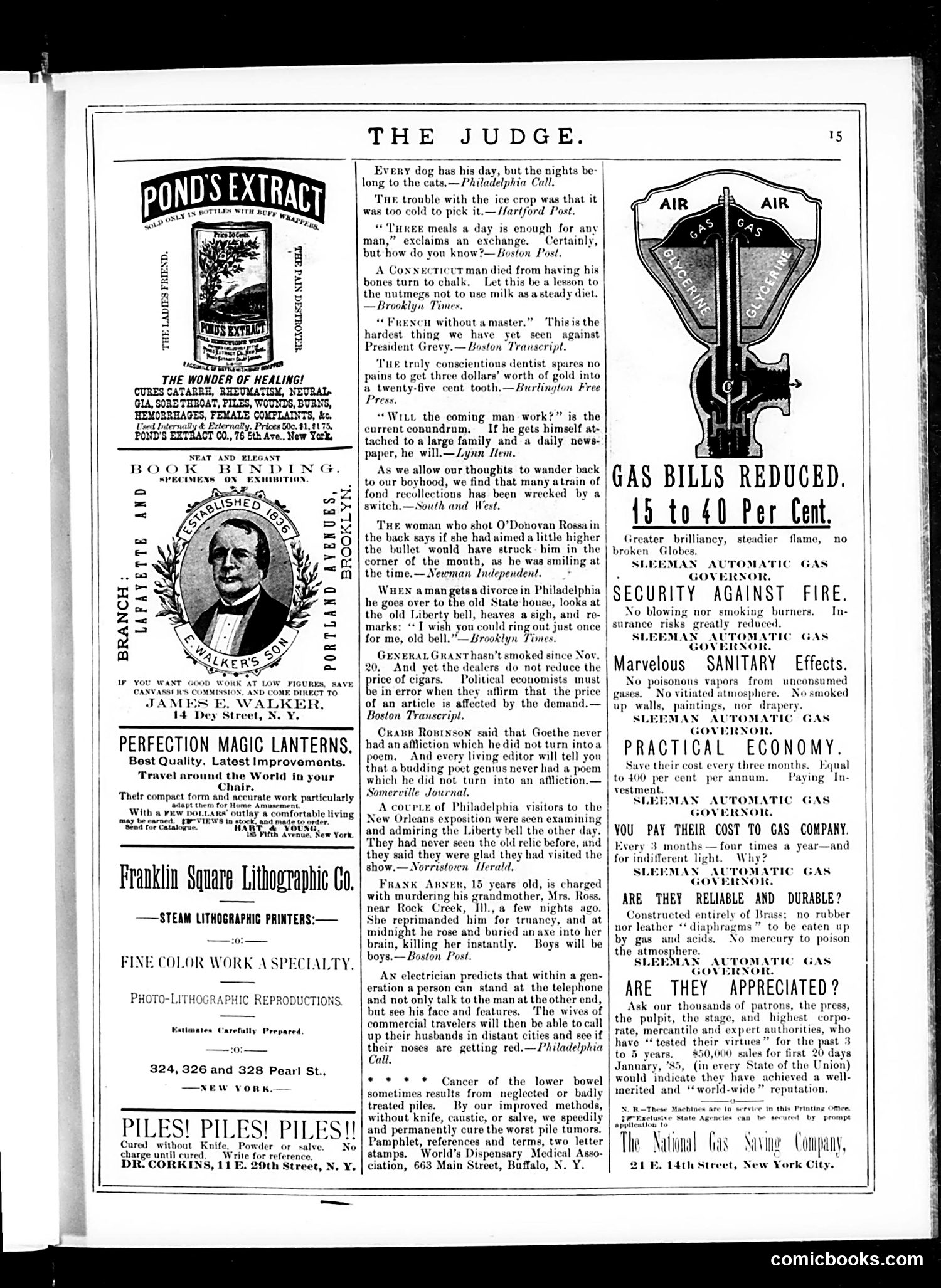 Judge — March 7, 1885 — page 21 of 22