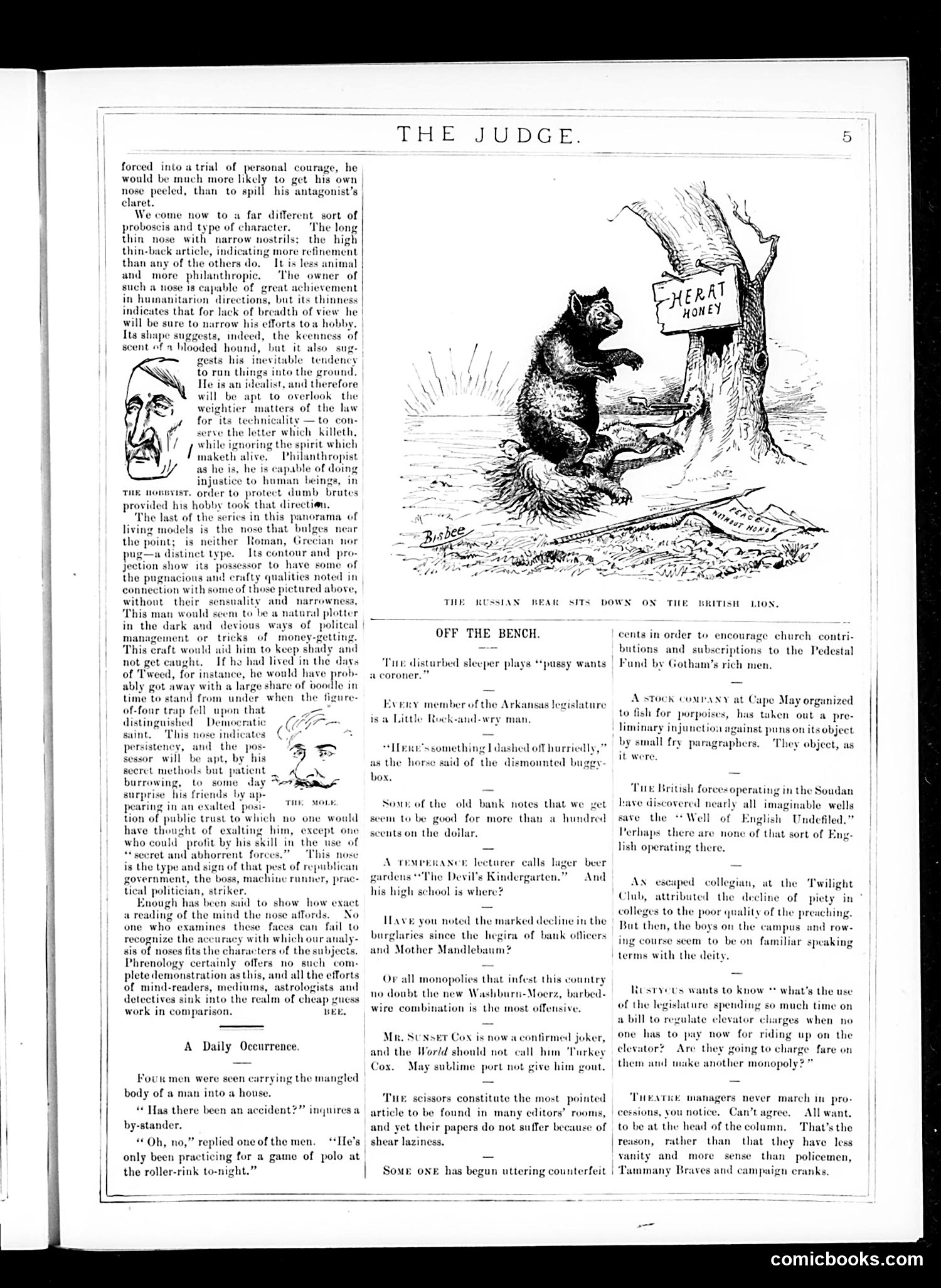 Judge — April 11, 1885 — page 5 of 17