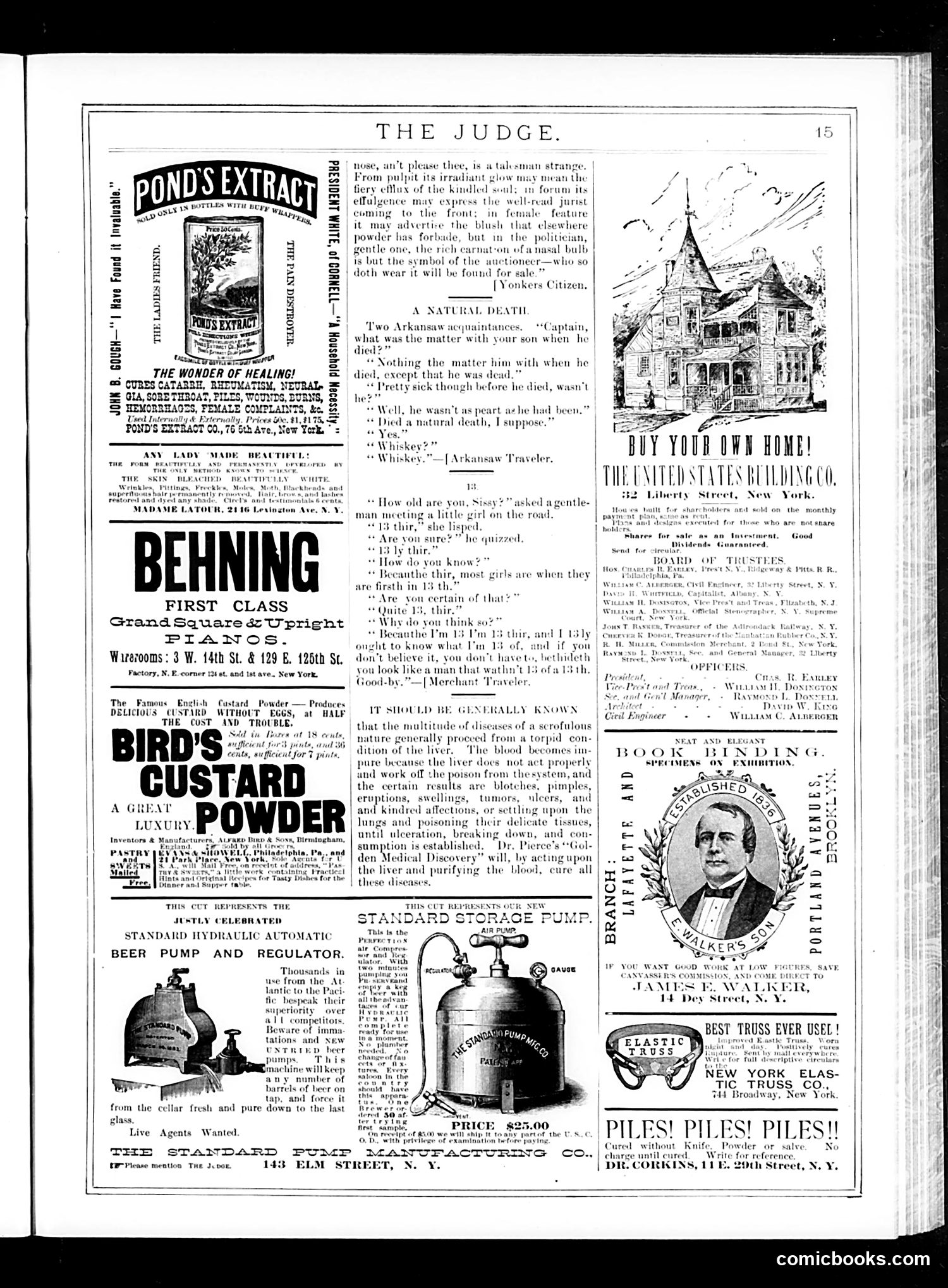 Judge — April 25, 1885 — page 15 of 16