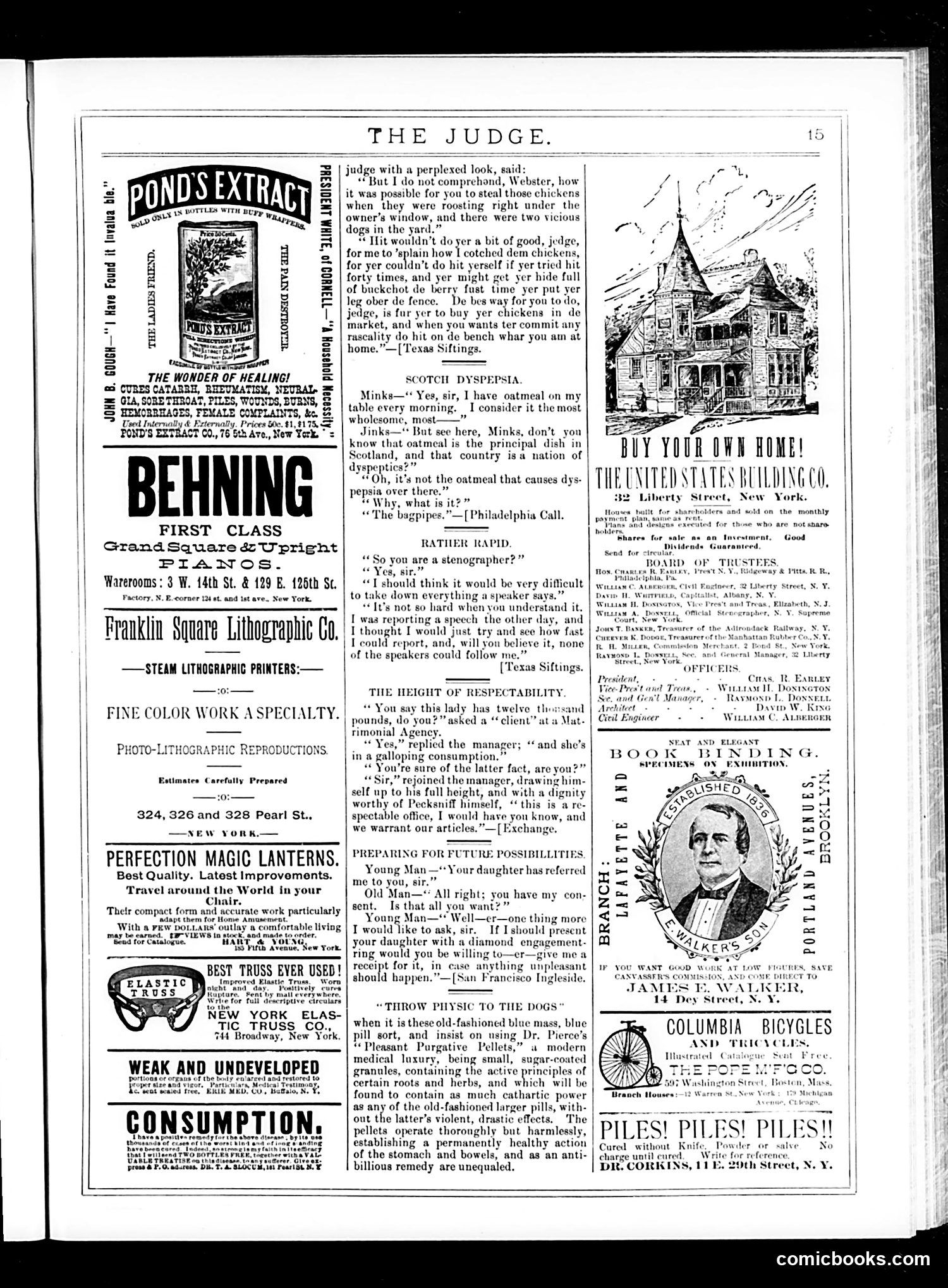 Judge — May 9, 1885 — page 15 of 16