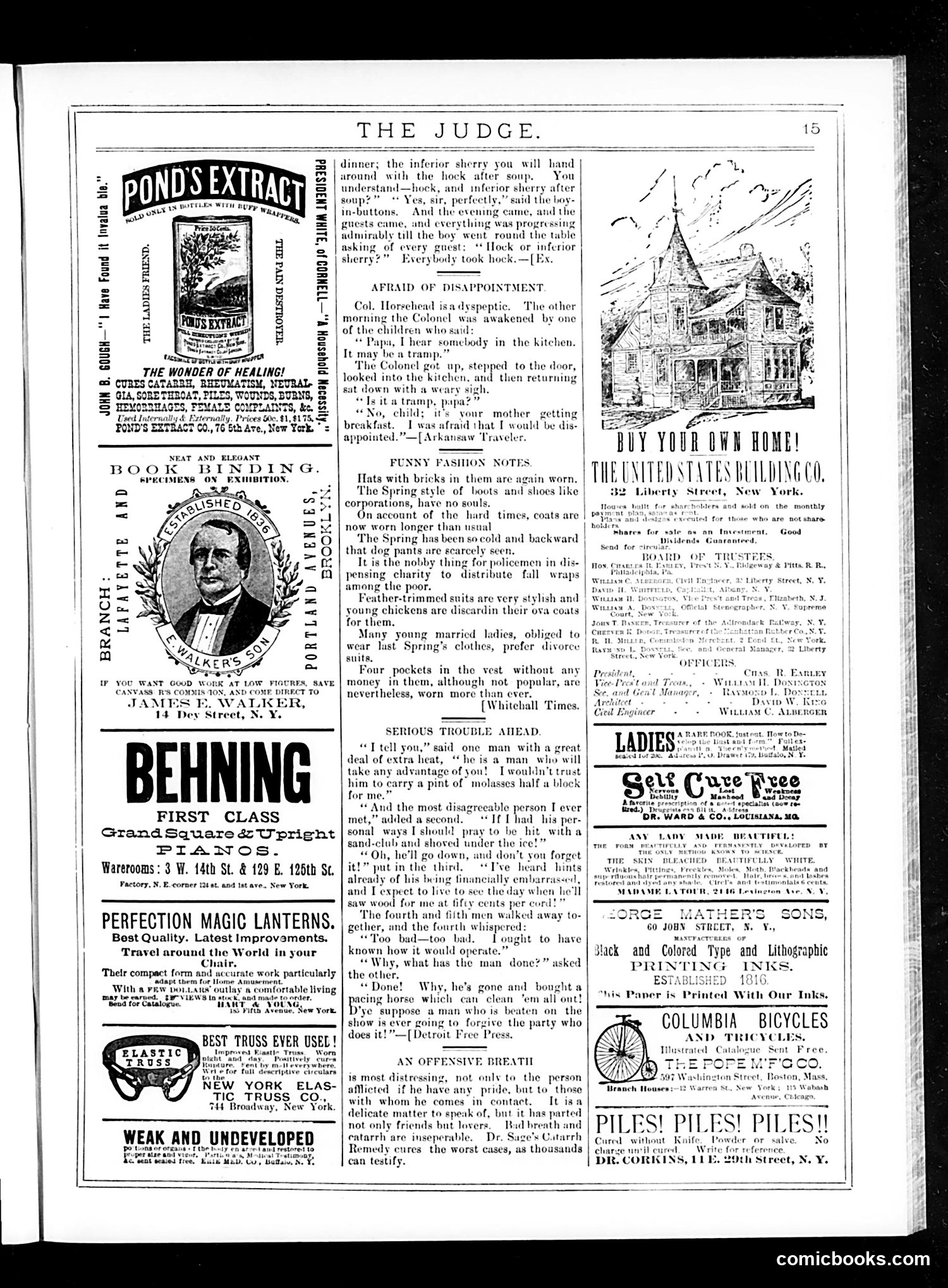 Judge — May 23, 1885 — page 15 of 16
