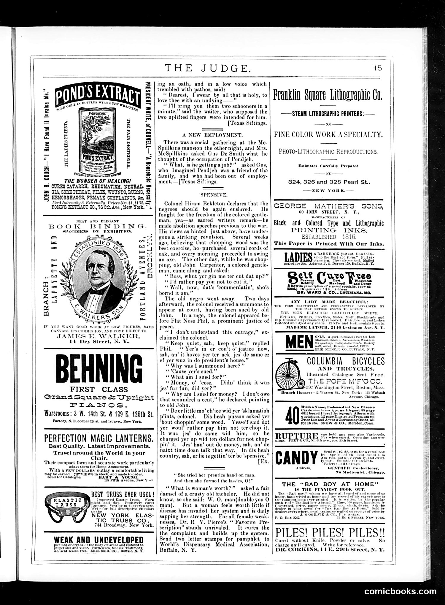 Judge — May 30, 1885 — page 15 of 16