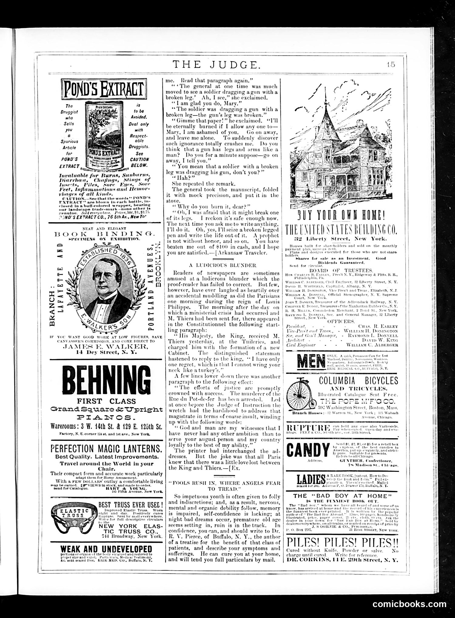 Judge — June 6, 1885 — page 15 of 16