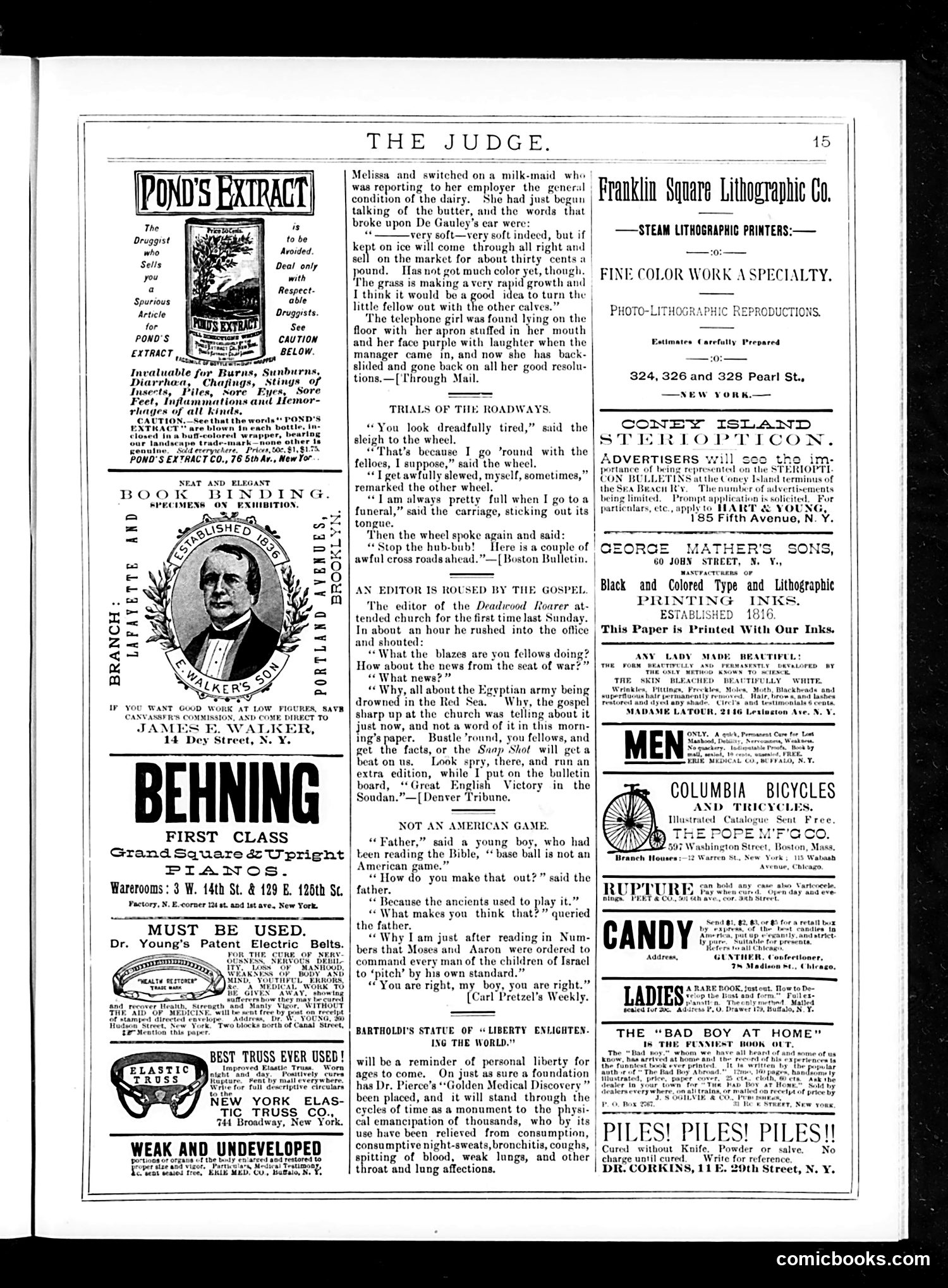 Judge — June 13, 1885 — page 15 of 16
