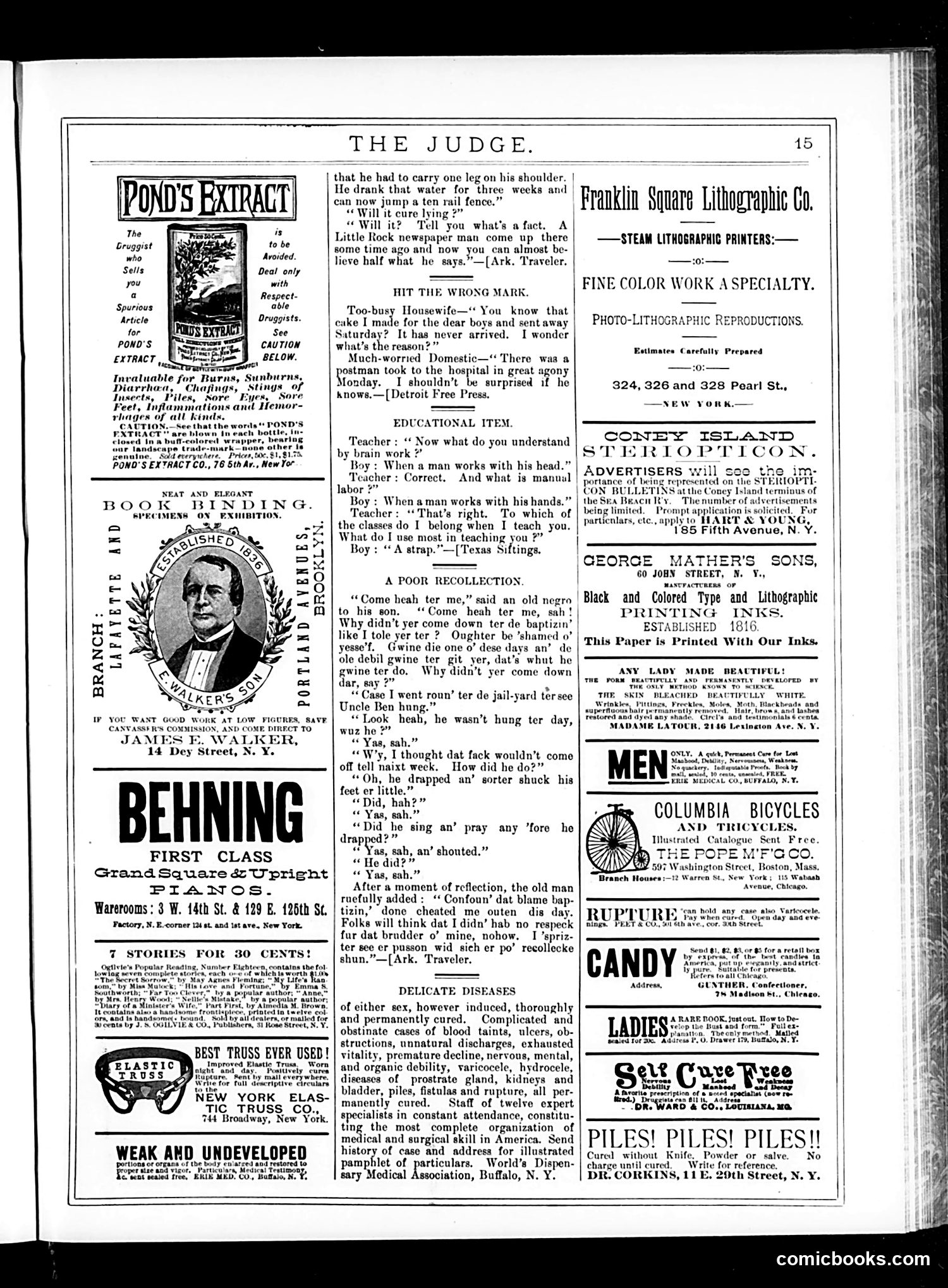 Judge — June 20, 1885 — page 15 of 16