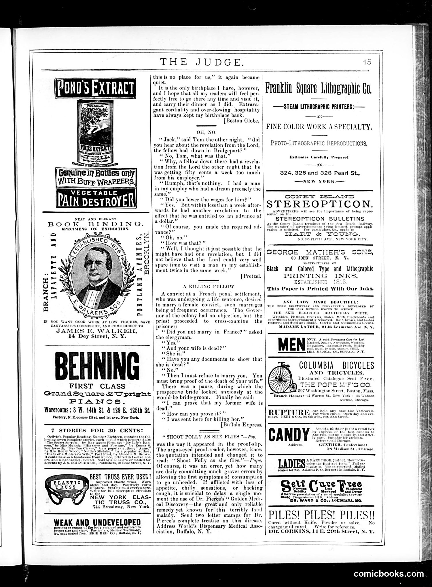 Judge — July 11, 1885 — page 15 of 16