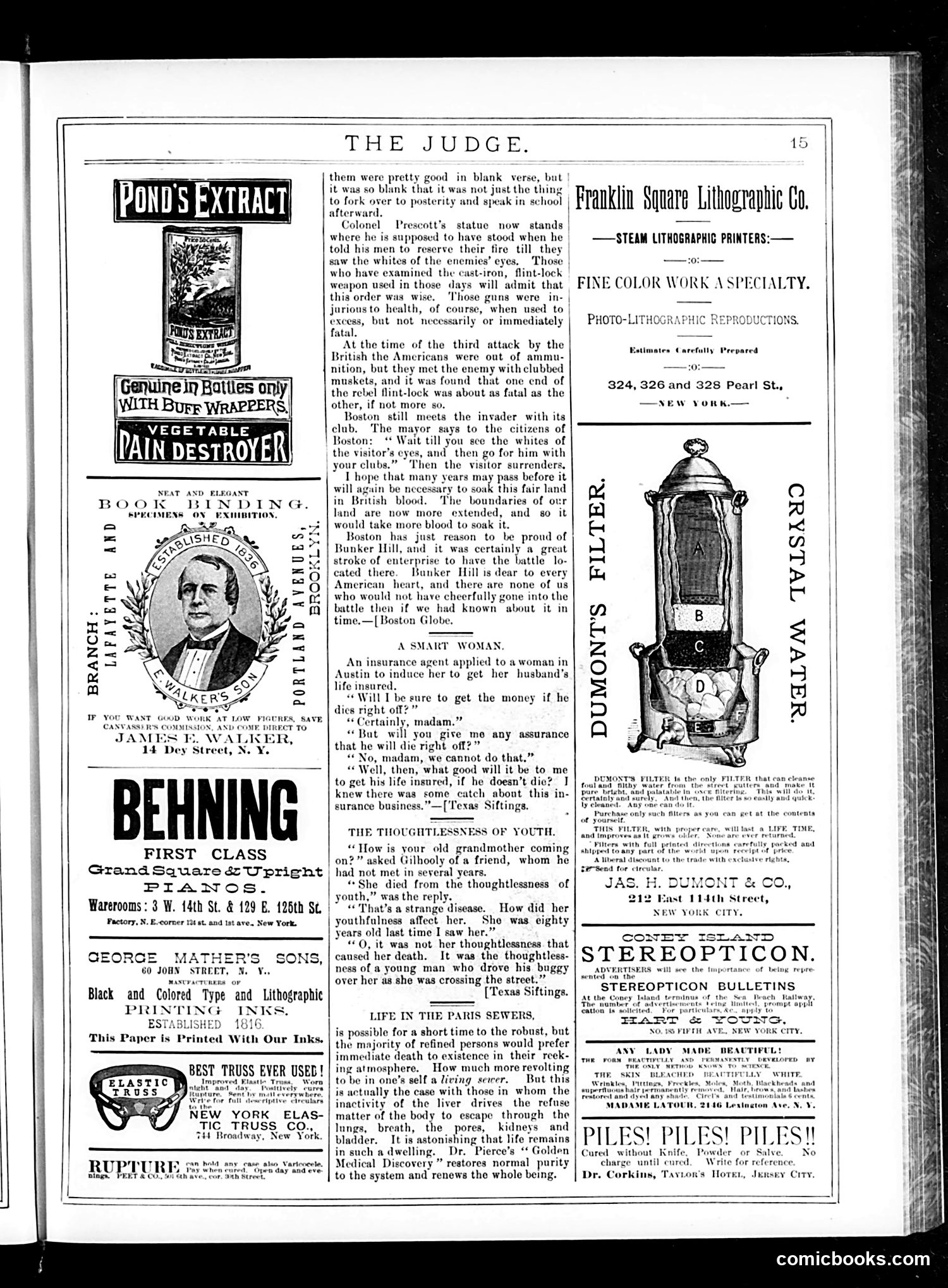 Judge — July 25, 1885 — page 15 of 16
