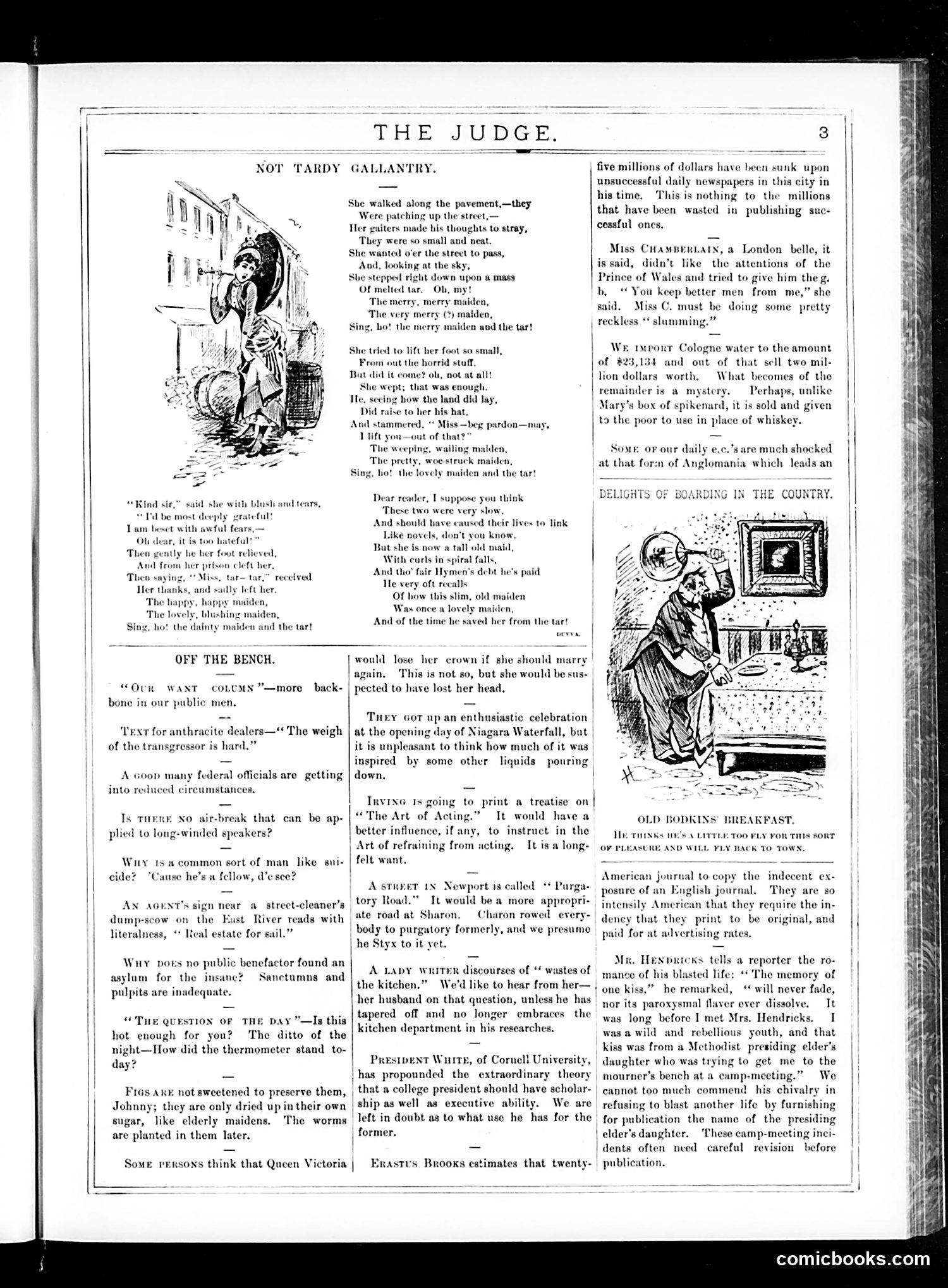 Judge — August 1, 1885 — page 3 of 19