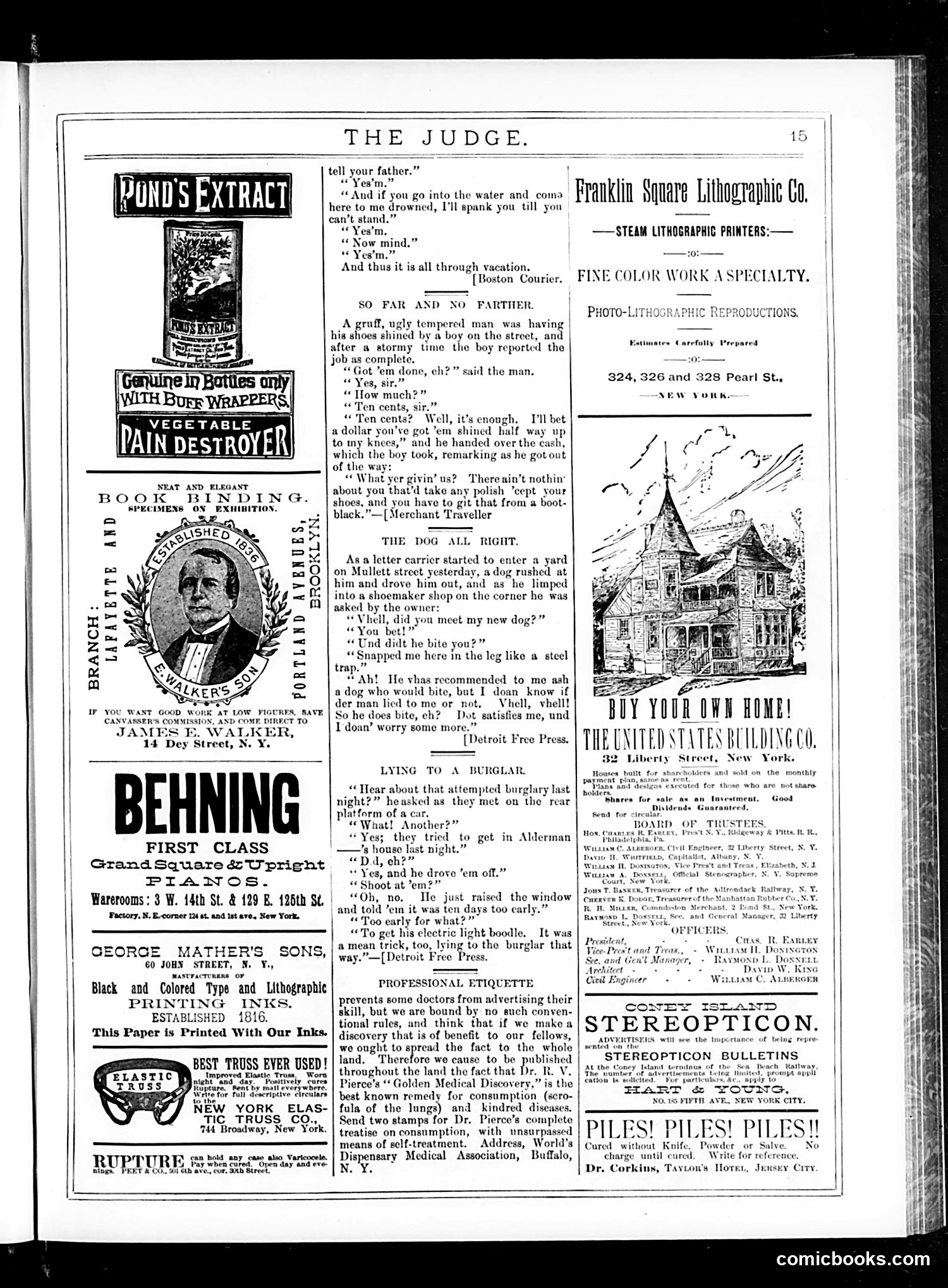 Judge — August 1, 1885 — page 15 of 19